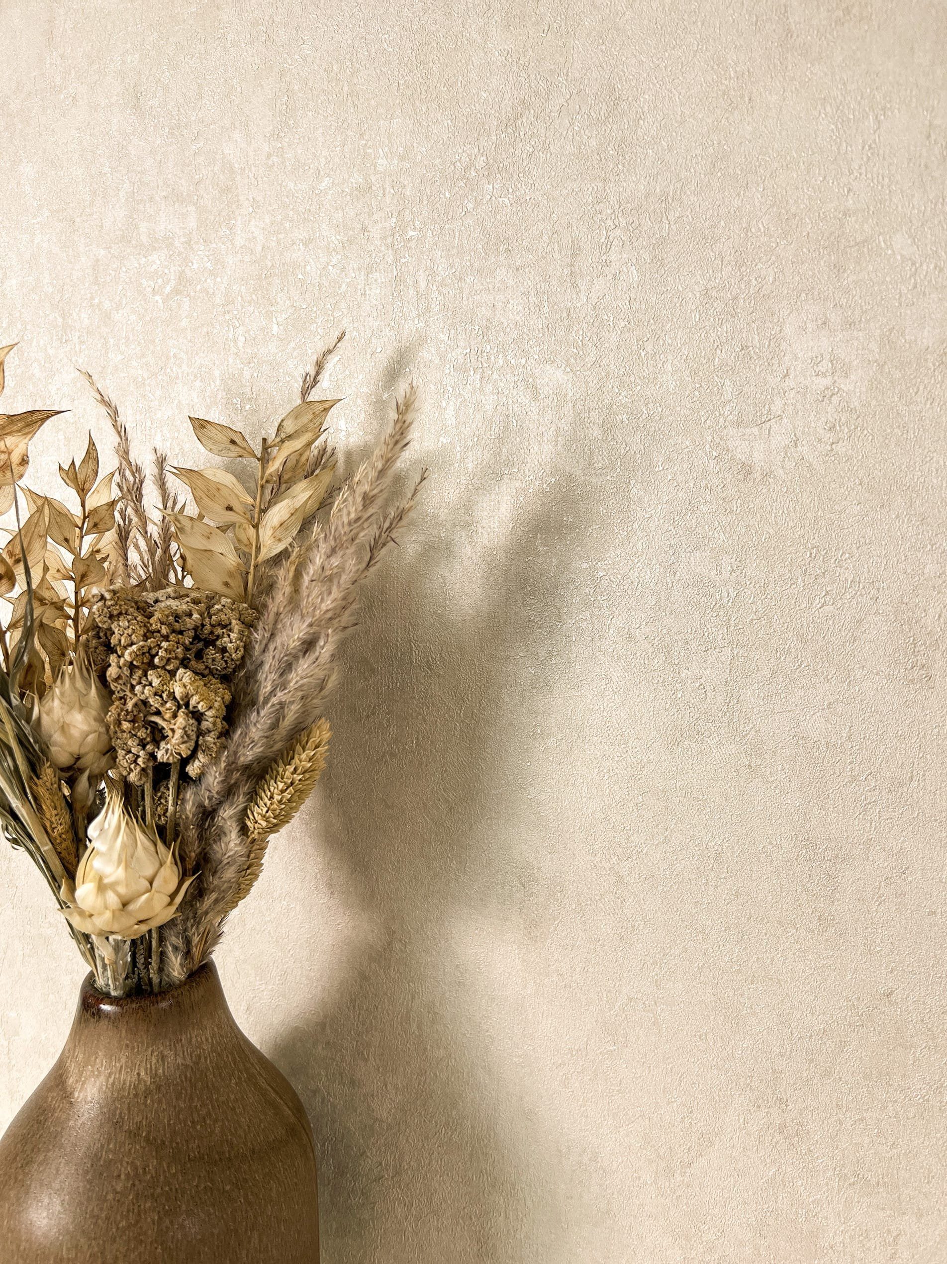 Newroom Vliestapete, Beige Tapete Modern Unifarbe - Universal Einfarbig Cre günstig online kaufen