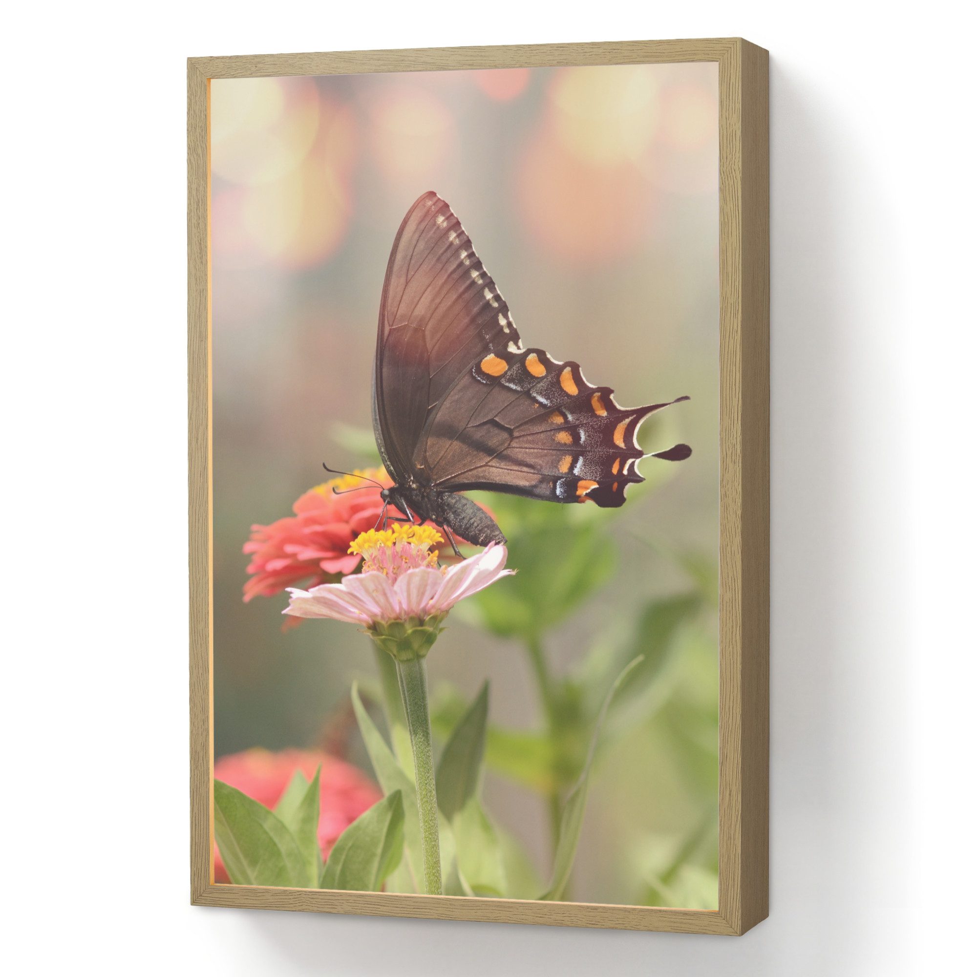 OnlyWow Wandleuchte Lightbox Blumen - Schmetterling - Natur - Blume, Dimmbar, Farbwechsel, LED, Warmweiß, Kaltweiß, Neutralweiß Einstellbar, Wandlampe Innen, Dimmbar, Aufladbarer USB Akku, LED, Beleuchtung