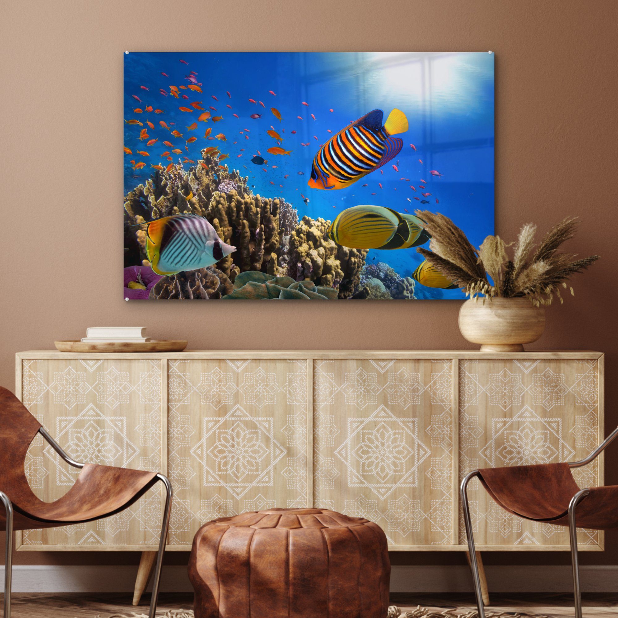 Ägypten, MuchoWow & Wohnzimmer Fische Tropisch Acrylglasbild (1 St), Schlafzimmer Acrylglasbilder - -