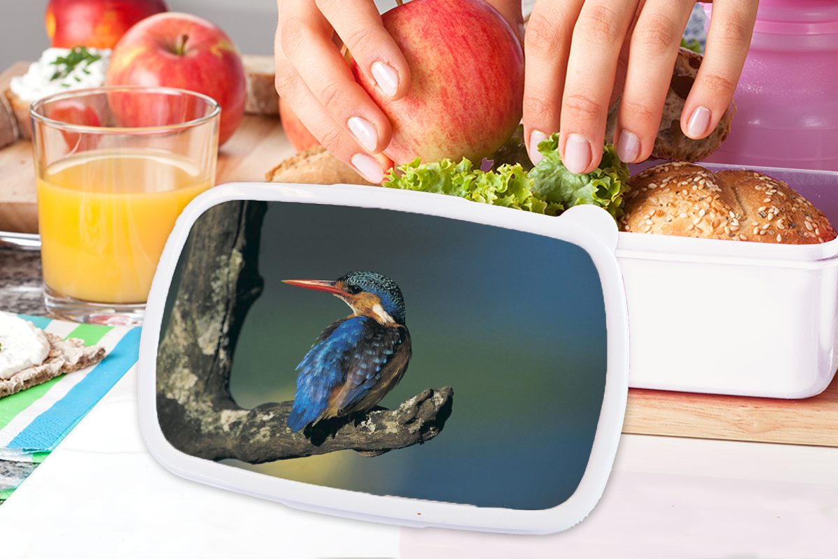 MuchoWow Lunchbox Farbenfroh, - - und für und (2-tlg), weiß Kunststoff, Brotbox Tier Mädchen für Eisvogel Erwachsene, Jungs Brotdose, Kinder