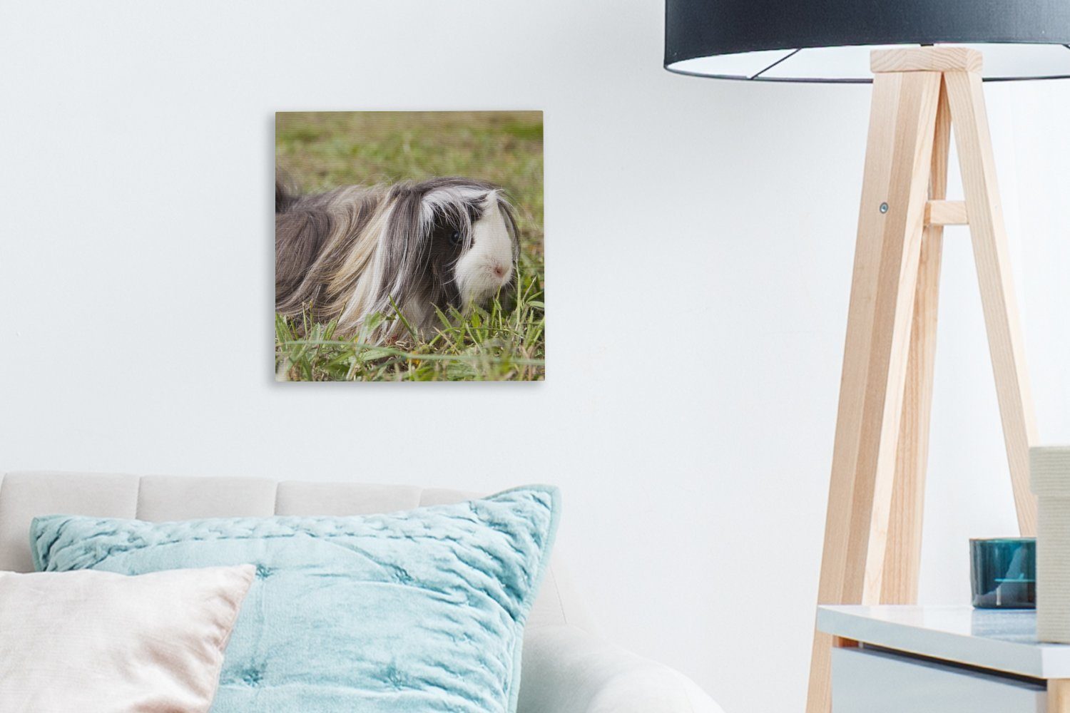 Leinwandbild OneMillionCanvasses® Bilder für (1 Schlafzimmer St), Langhaar-Meerschweinchen, Wohnzimmer Leinwand