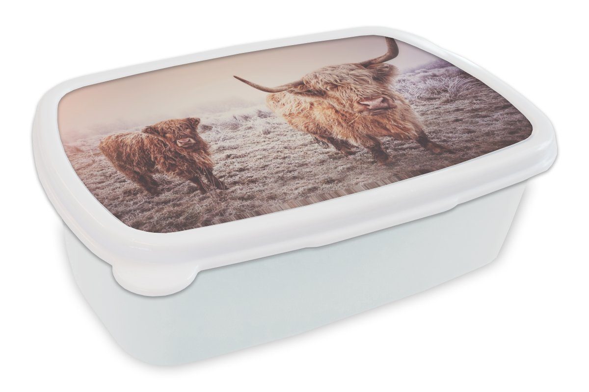 MuchoWow Lunchbox Schottische Hochlandbewohner - Licht - Himmel - Natur, Kunststoff, (2-tlg), Brotbox für Kinder und Erwachsene, Brotdose, für Jungs und Mädchen weiß