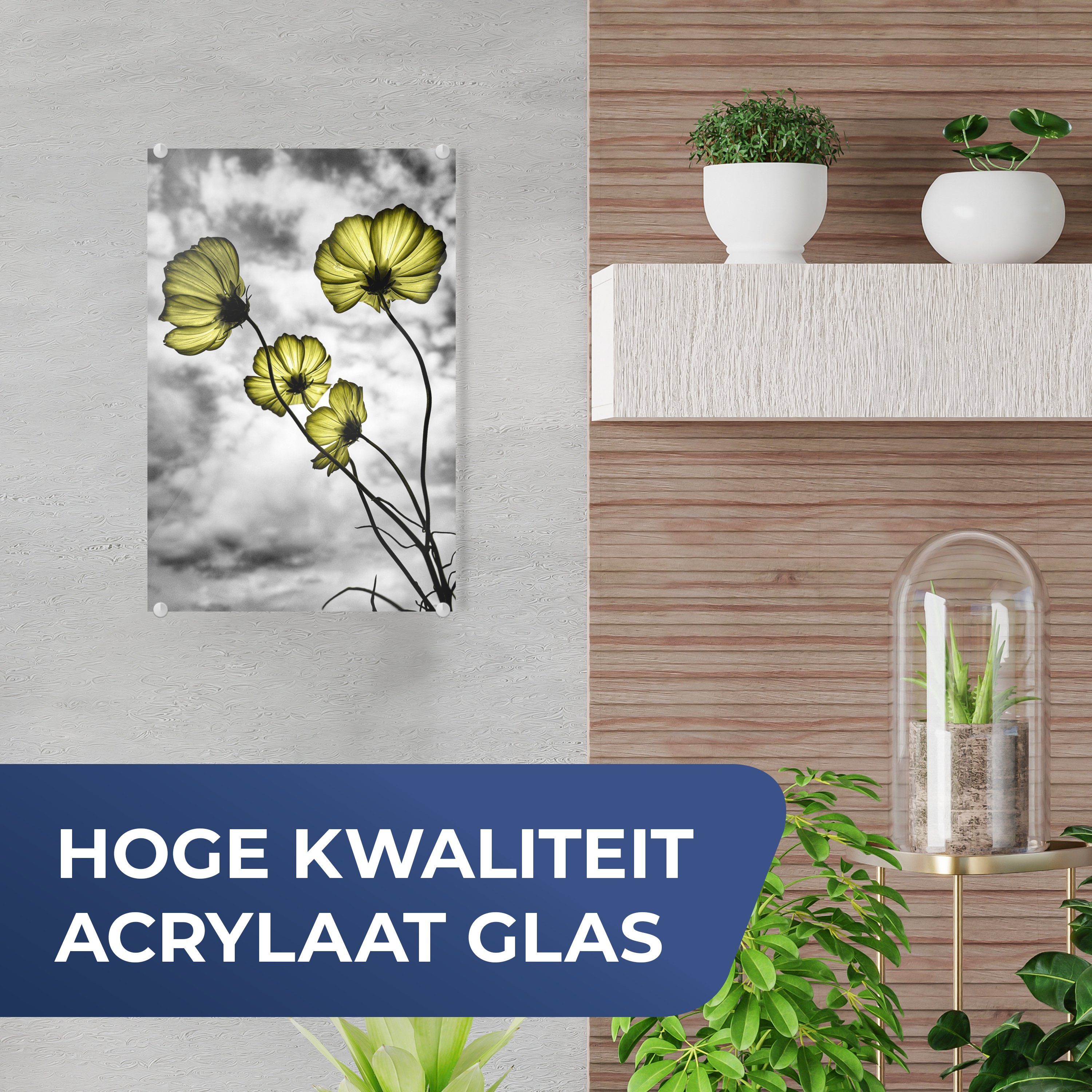 auf - Acrylglasbild auf - Schwarz (1 - Glas Bilder - Glasbilder Glas Wanddekoration - Wandbild Blumen - Foto MuchoWow St), Gelb, Weiß