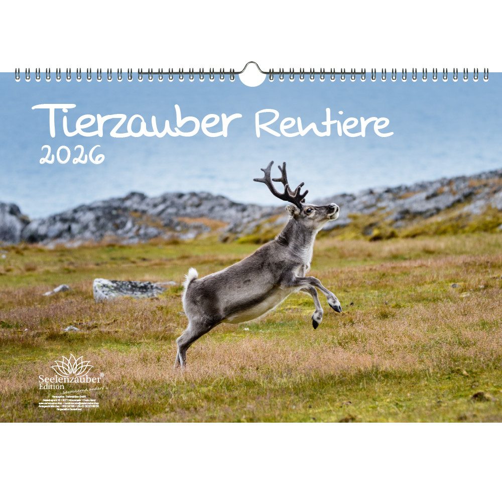 Seelenzauber Wandkalender Tierzauber Rentiere DIN A3 Kalender für 2026 - Seelenzauber