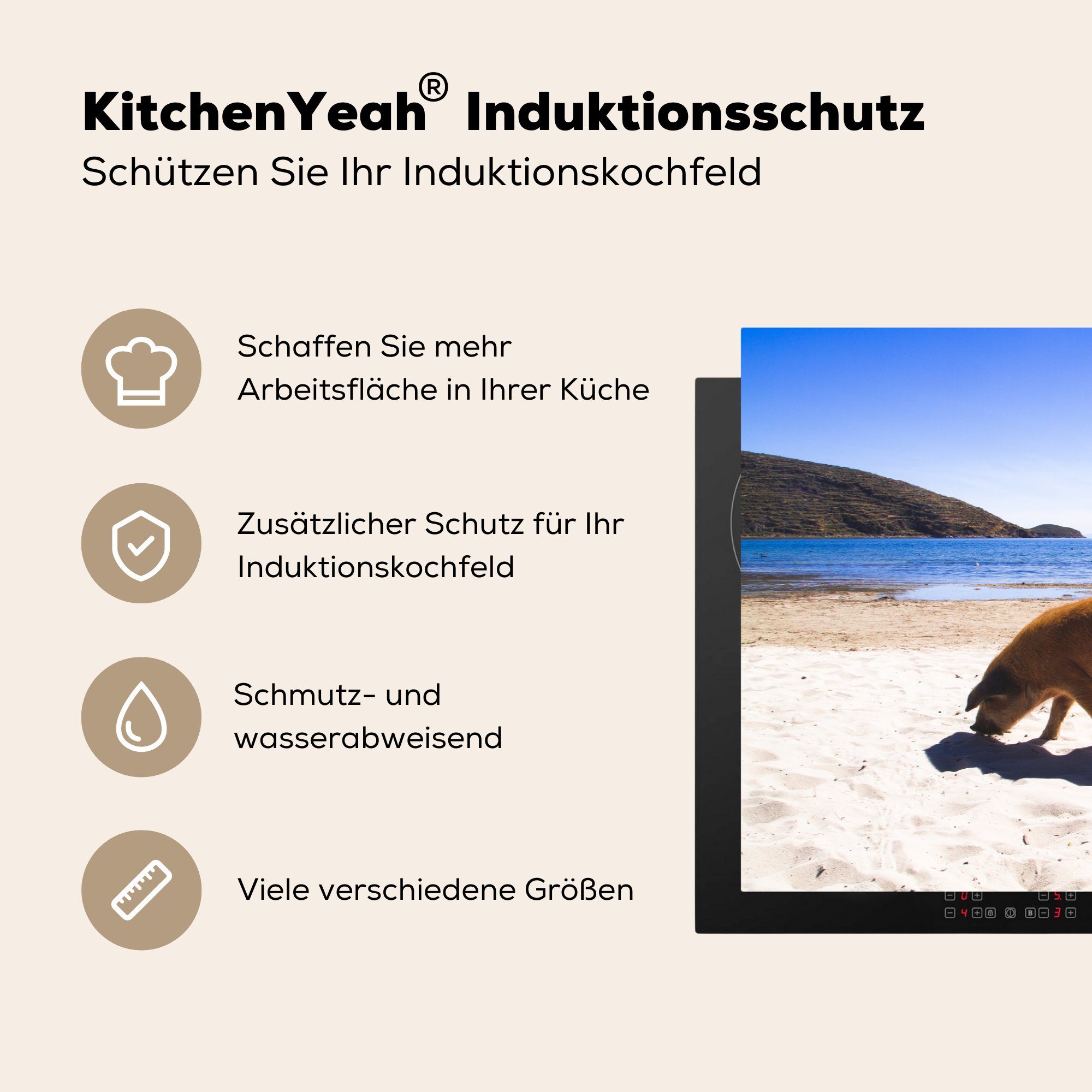 Schweine (1 81x52 küche, Herdblende-/Abdeckplatte Sommer Schutz - cm, Induktionskochfeld MuchoWow Vinyl, - tlg), Strand, Ceranfeldabdeckung die für