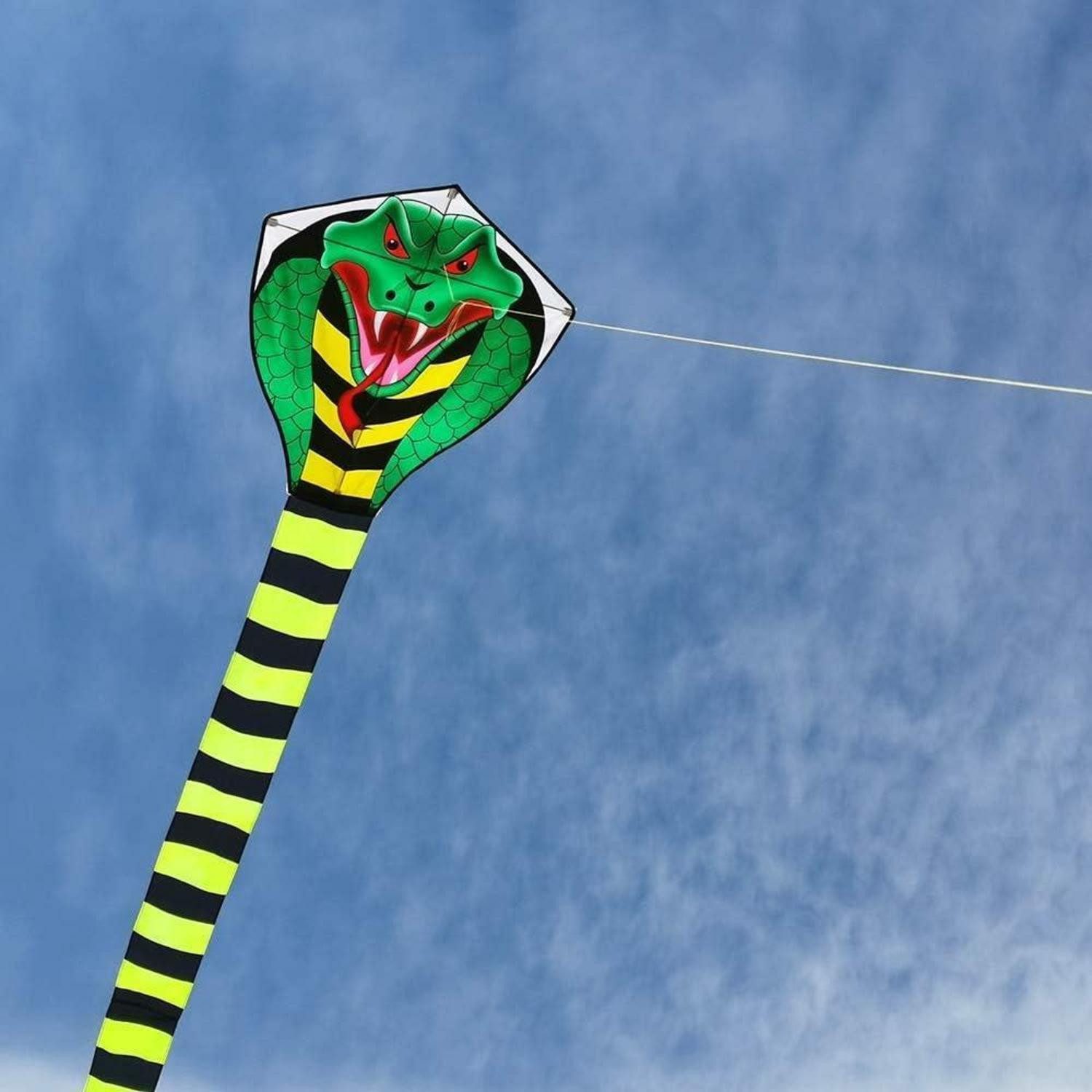 LuxusKollektion Flug-Drache Colorful Kobra-Drachen für Kinder und Erwachsene, 49ft Groß mit langem