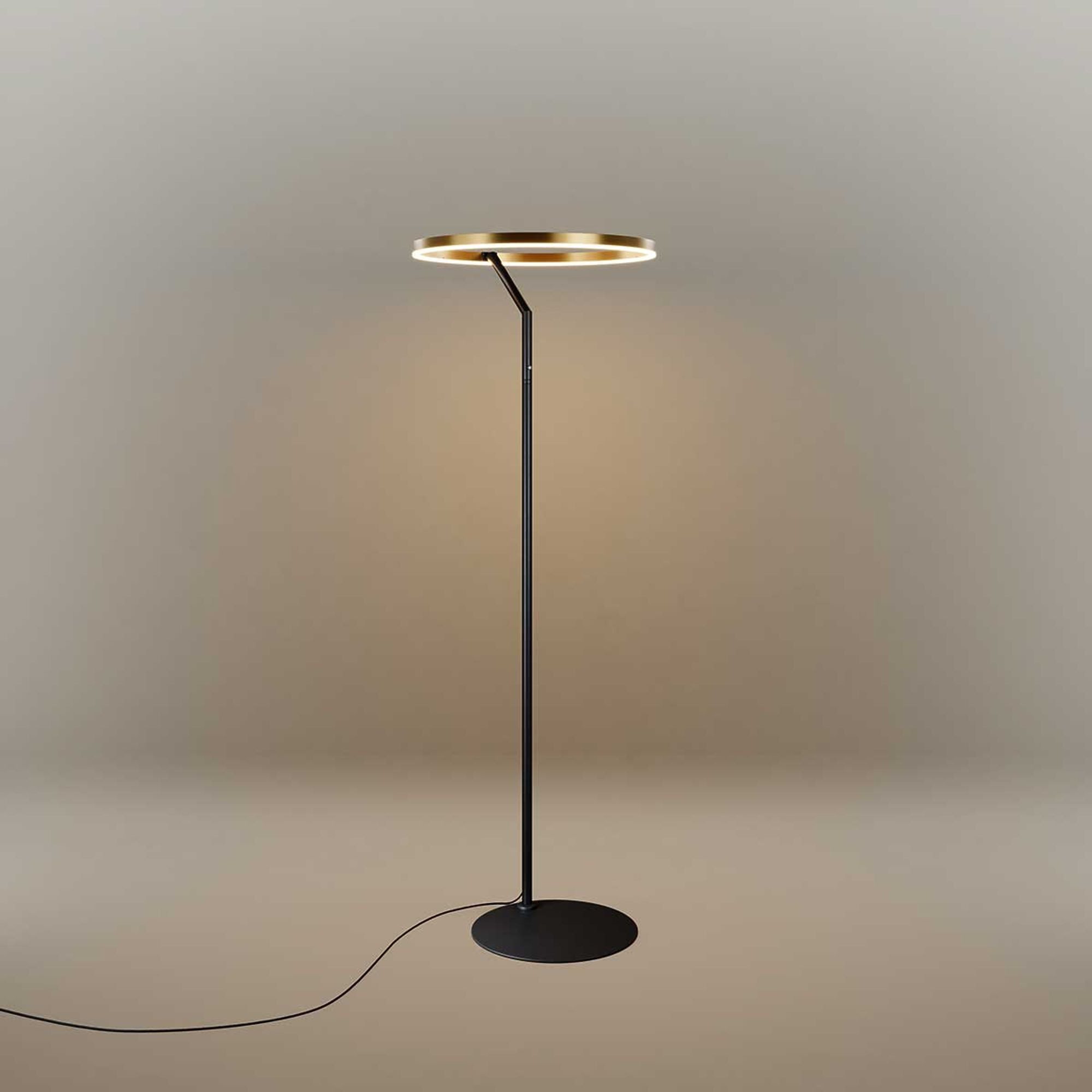 s.luce Stehlampe Ring LED-Stehleuchte Ø 60cm mit Touchdimmer Gold, Warmweiß