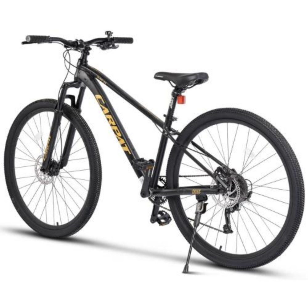 Mountainbike 29 Zoll MTB