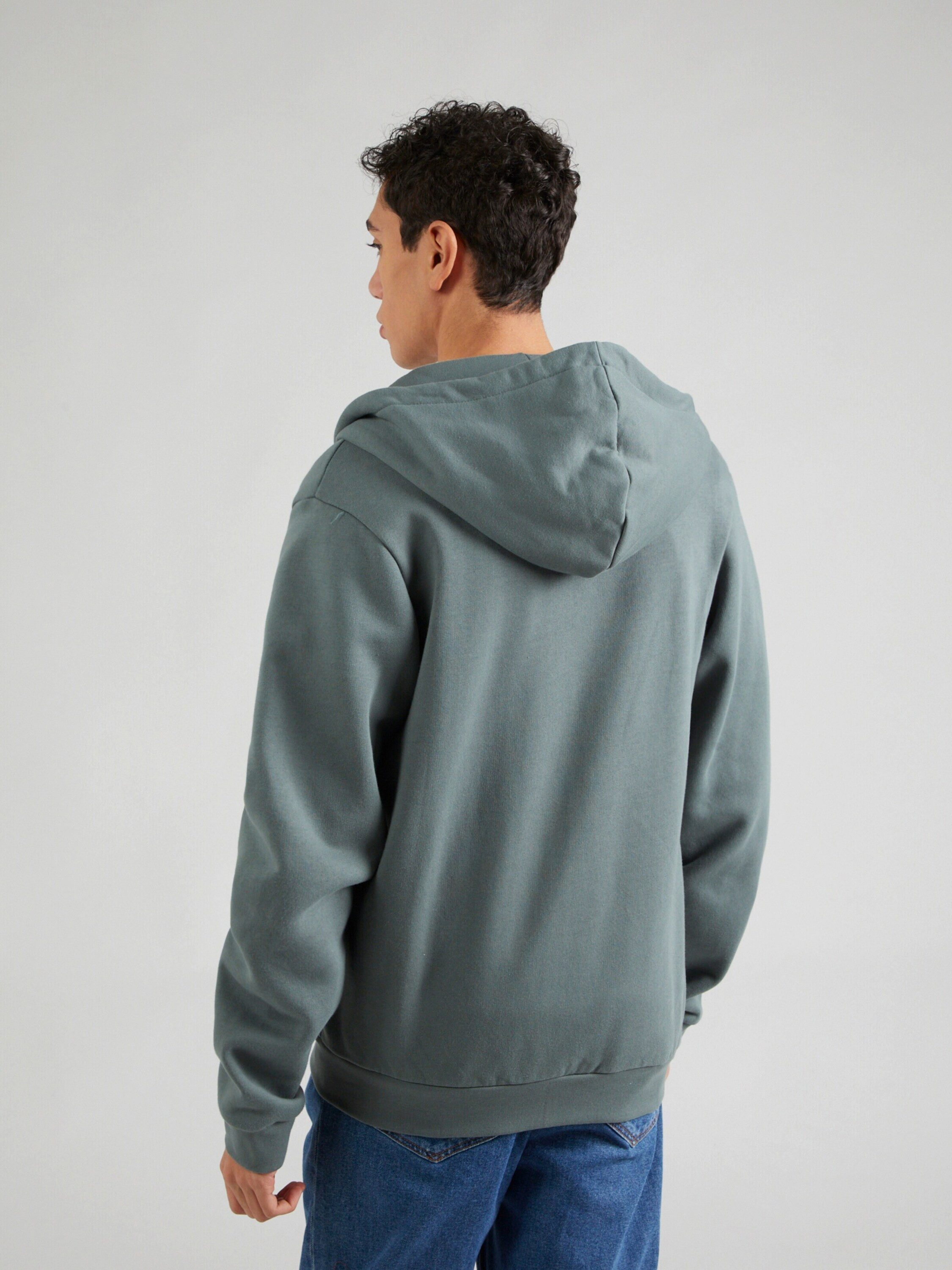 iriedaily Sweatjacke Mini Flag 2 (1-tlg) günstig online kaufen