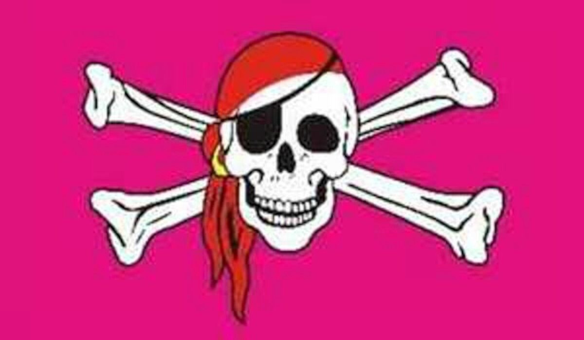 flaggenmeer Flagge 80 Pirat pink g/m²