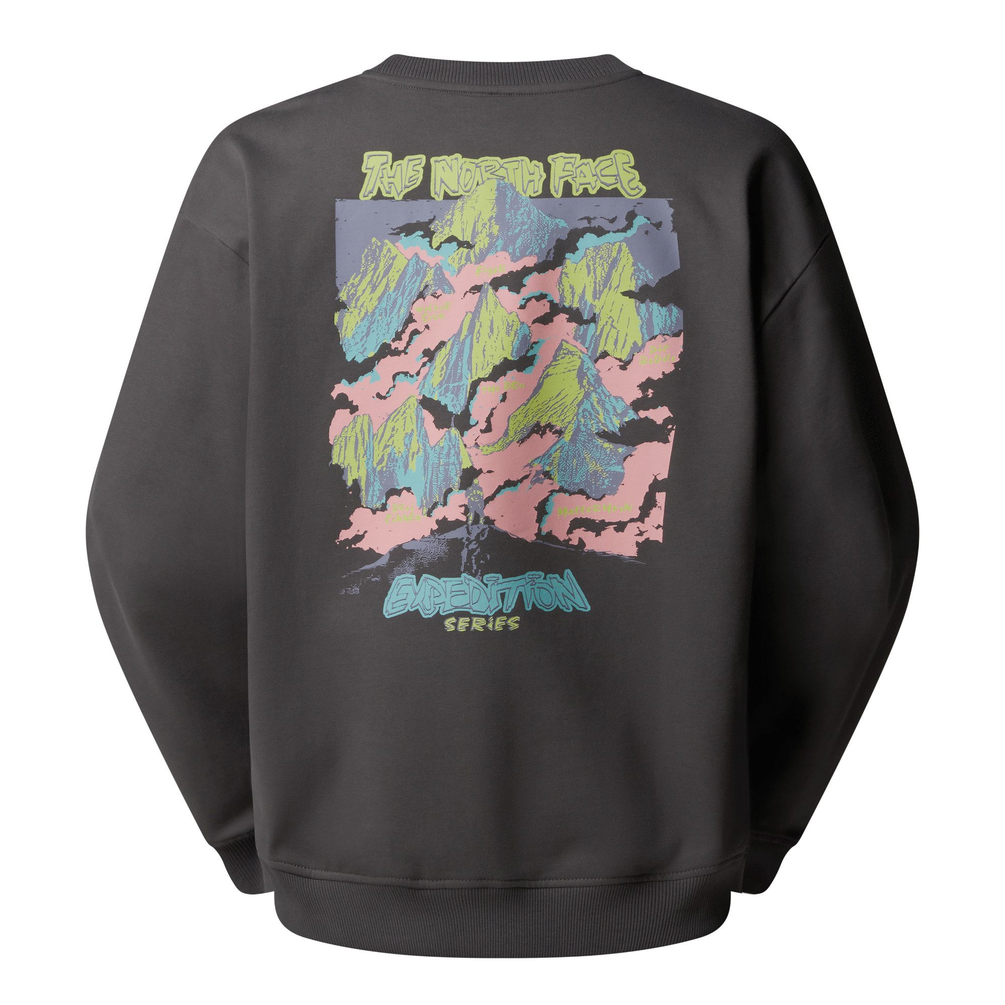 The North Face Fleecepullover günstig online kaufen