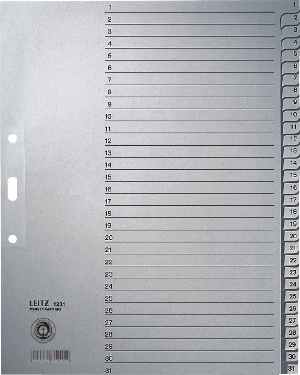 LEITZ Aktenordner Register A4 1-31 100g/qm grau Packung mit 10 Stück
