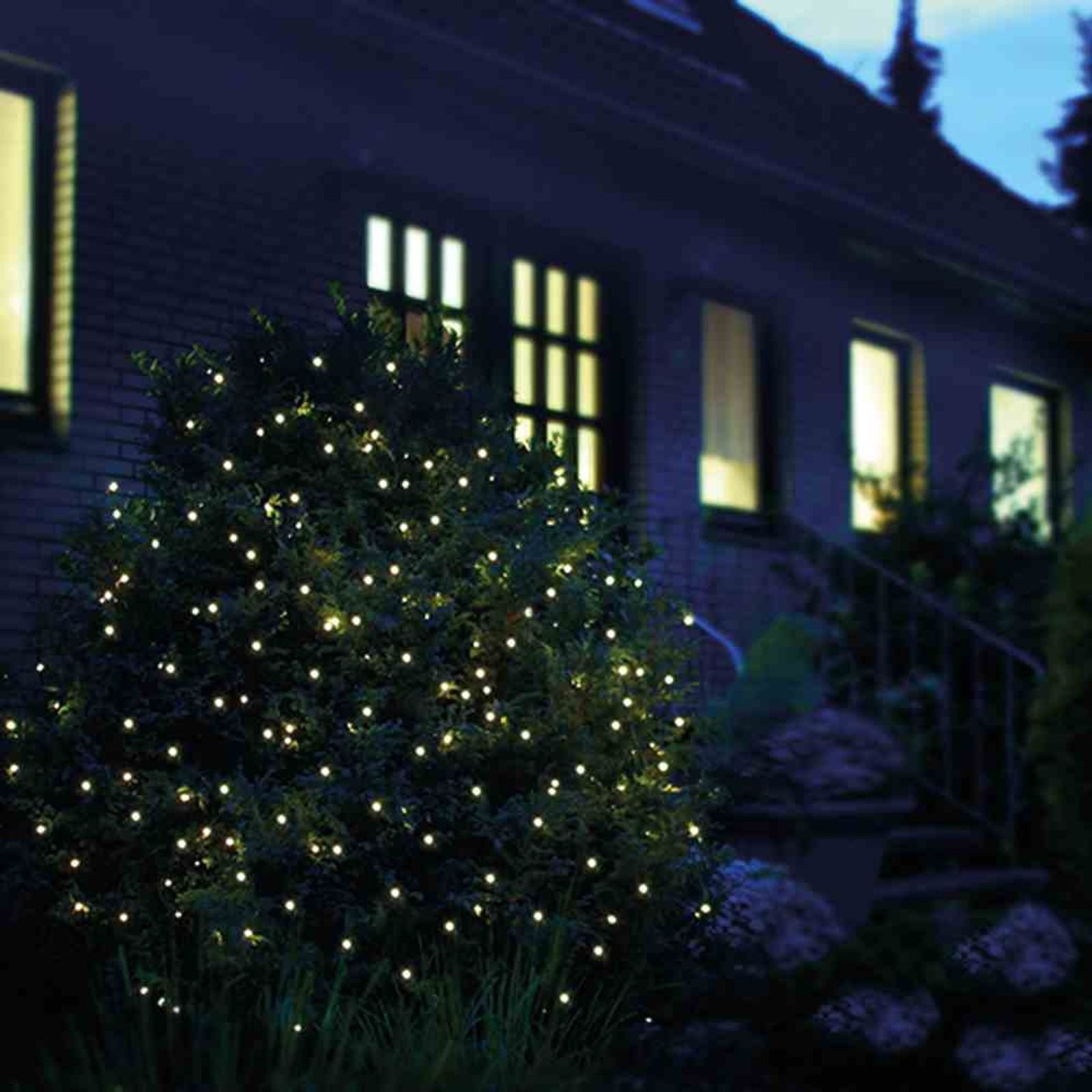 F-H-S International GmbH & Co. KG Lichterkette LED-Lichternetz 160er 3,2x1,5m warmweiß IP44 Adapter Lichtschläuche Li