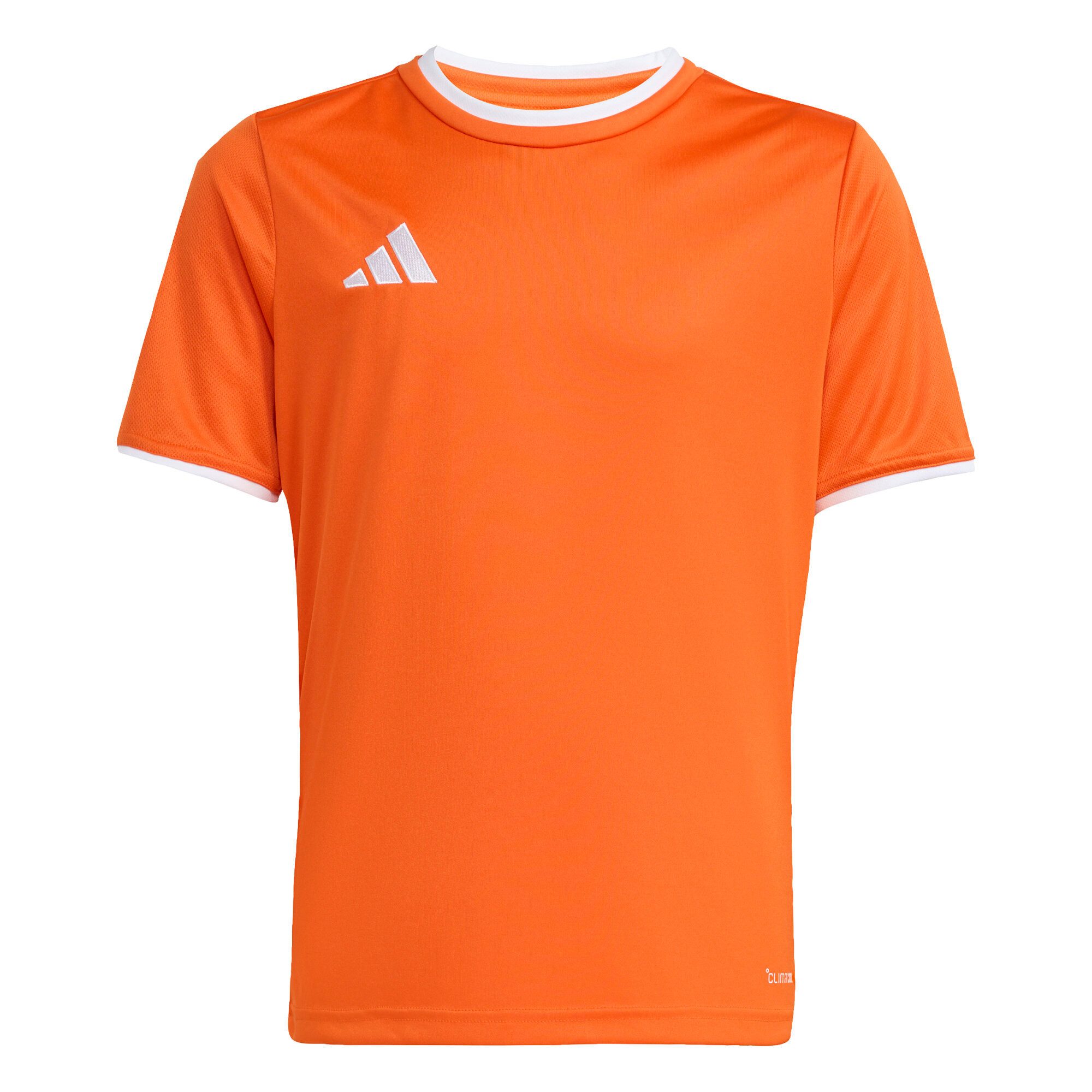 Team Orange / White