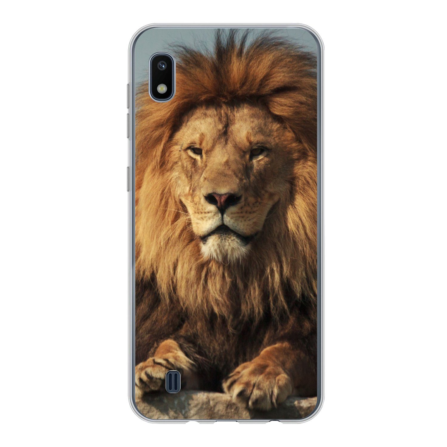 MuchoWow Handyhülle für Samsung Galaxy A10 Löwe - Felsen - Porträt, Smartphone-Bumper, Print, Handy Schutzhülle Dünn