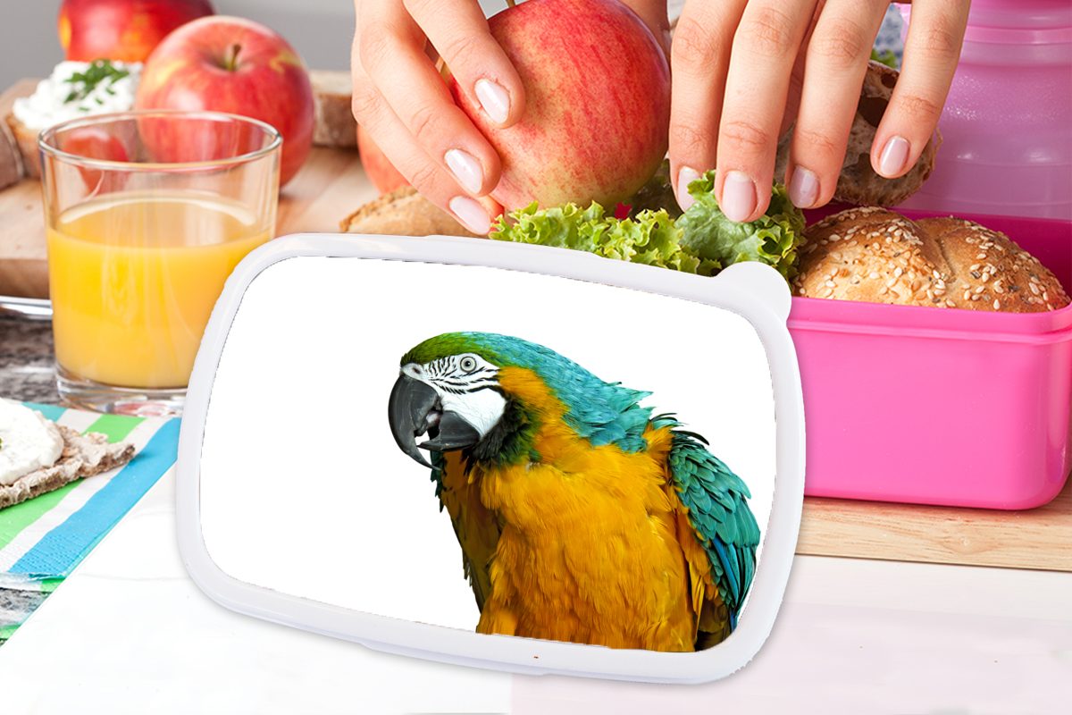Snackbox, für Vogel Kunststoff, rosa - MuchoWow Porträt, Kunststoff Lunchbox Brotbox - - Kinder, (2-tlg), Papagei Brotdose Federn Erwachsene, Mädchen,