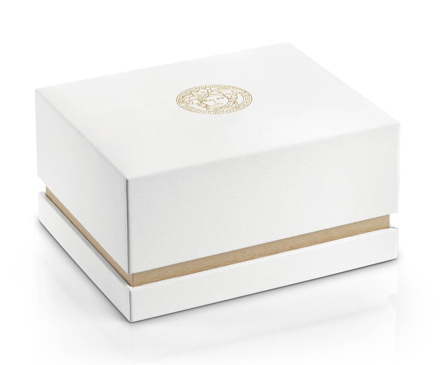 Versace Schweizer Uhr Hellenyium günstig online kaufen