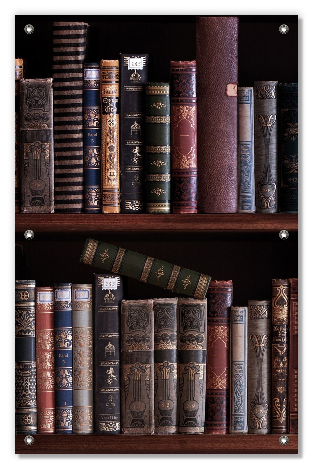 Sonnenschutz Bücherregal mit alten Büchern, Wallario, blickdicht, mit Saugnäpfen, wiederablösbar und wiederverwendbar