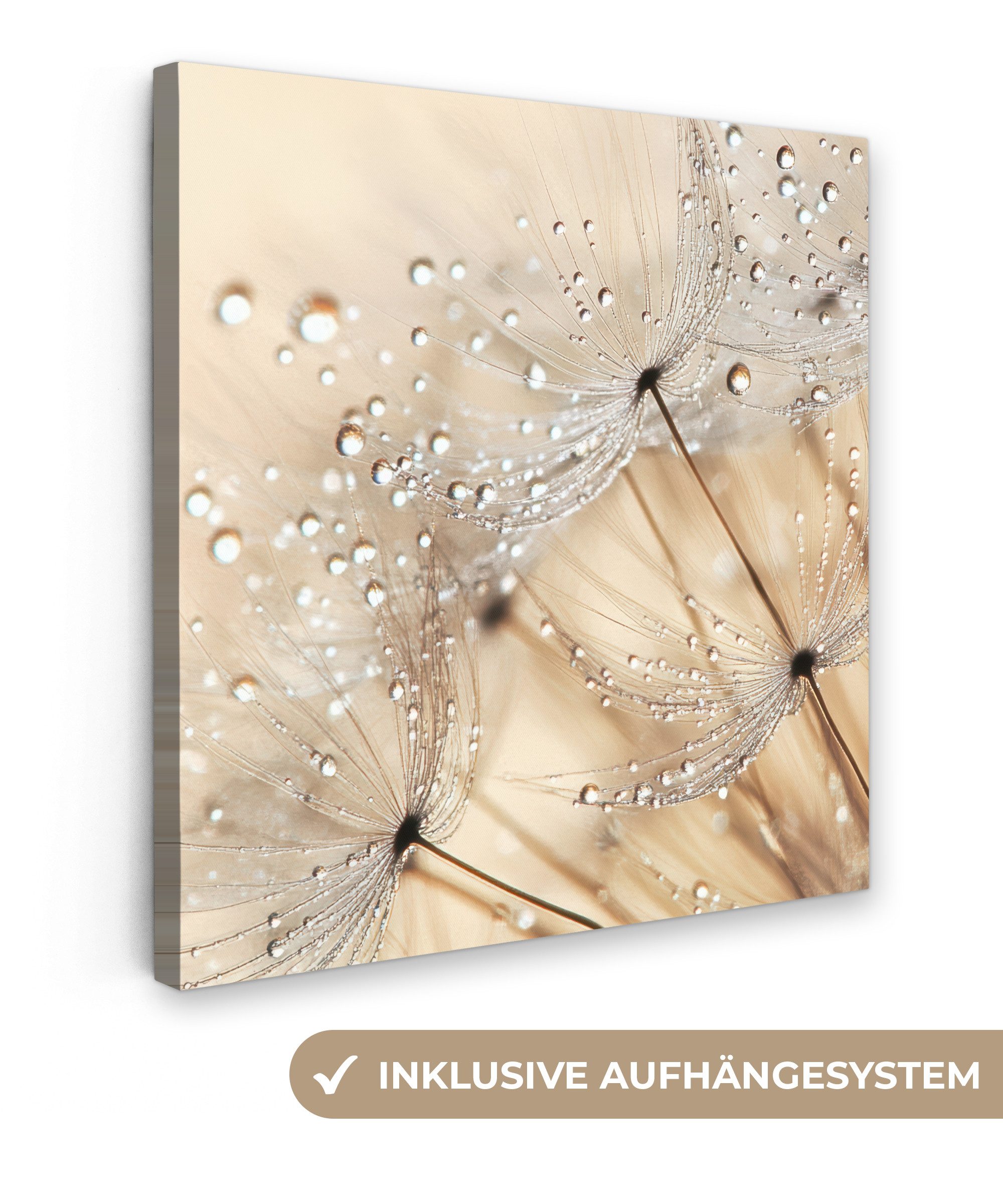 OneMillionCanvasses® Leinwandbild Löwenzahn - Abstrakt - Natur - Beige, Fot günstig online kaufen