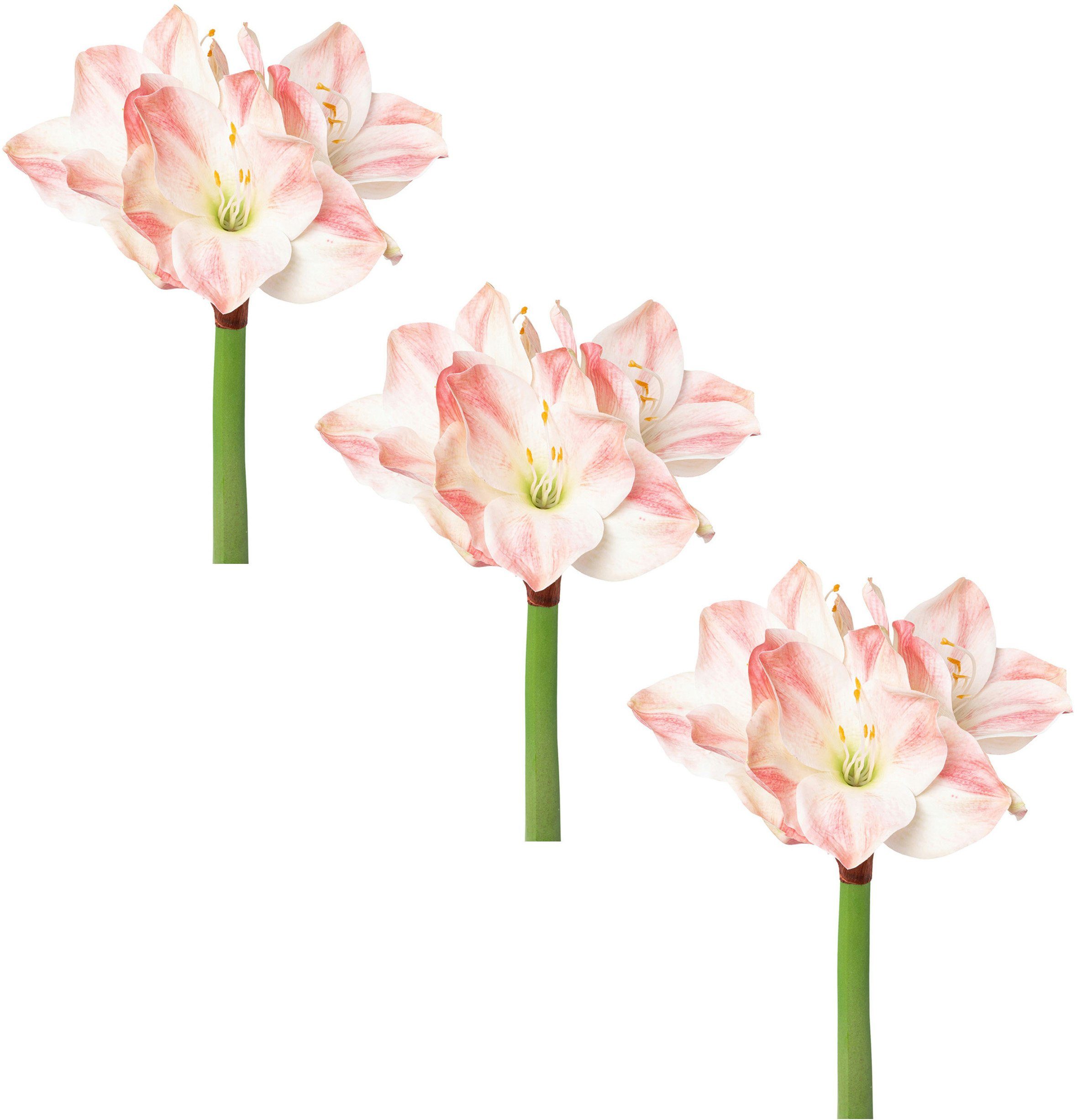 Winterliche Kunstpflanze Weihnachtsdeko Amaryllis, Creativ green, günstig online kaufen