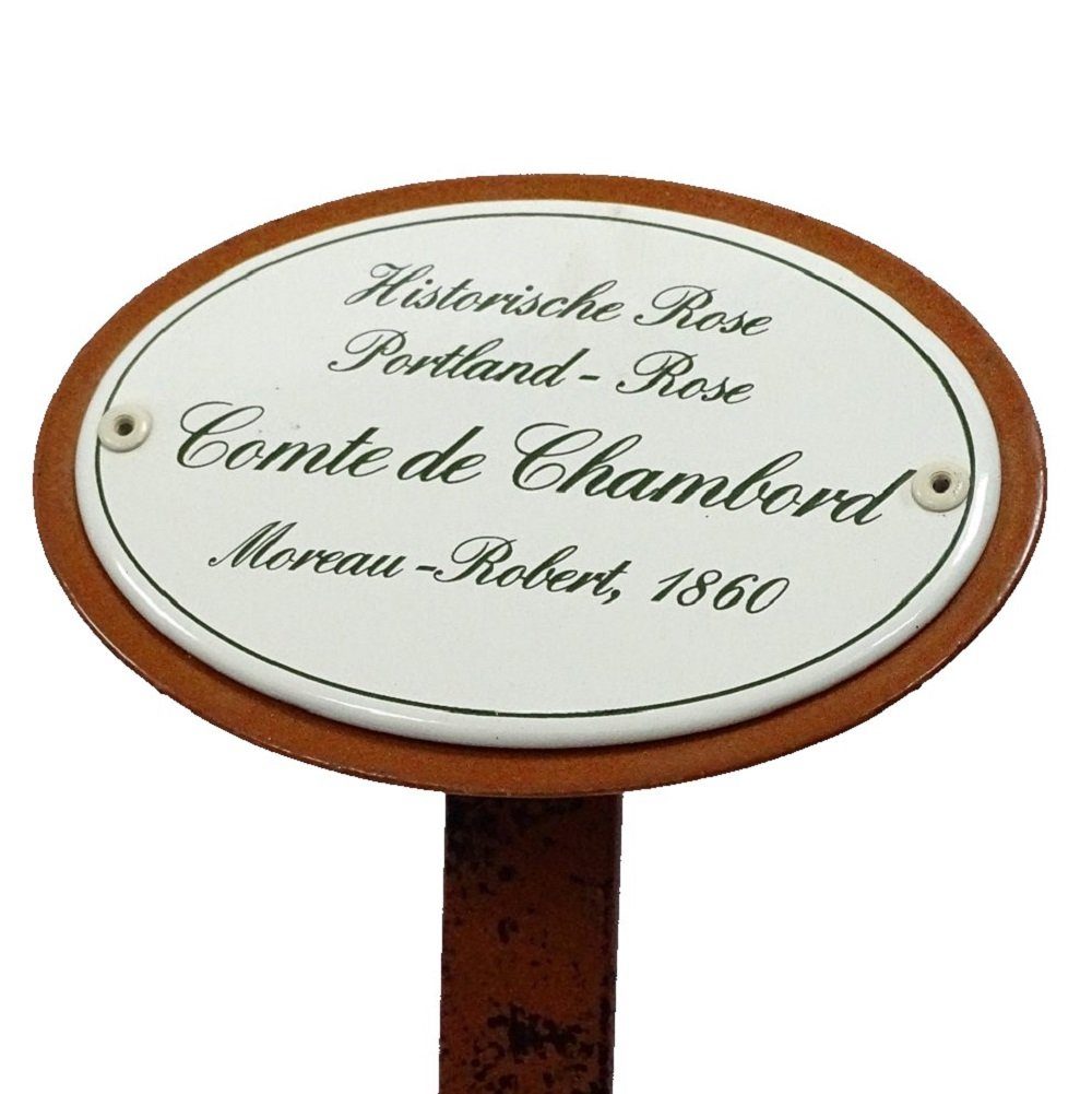 Linoows Gartenstecker Rosenschild Rosenstecker Historische Rose Comte de Chambord