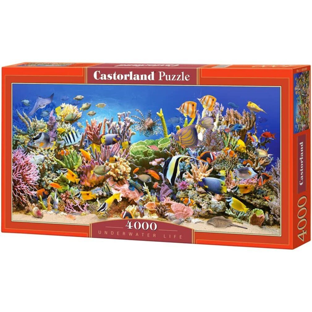 Castorland Puzzle Puzzle Unterwasserwelt 4000 Teile, Puzzleteile