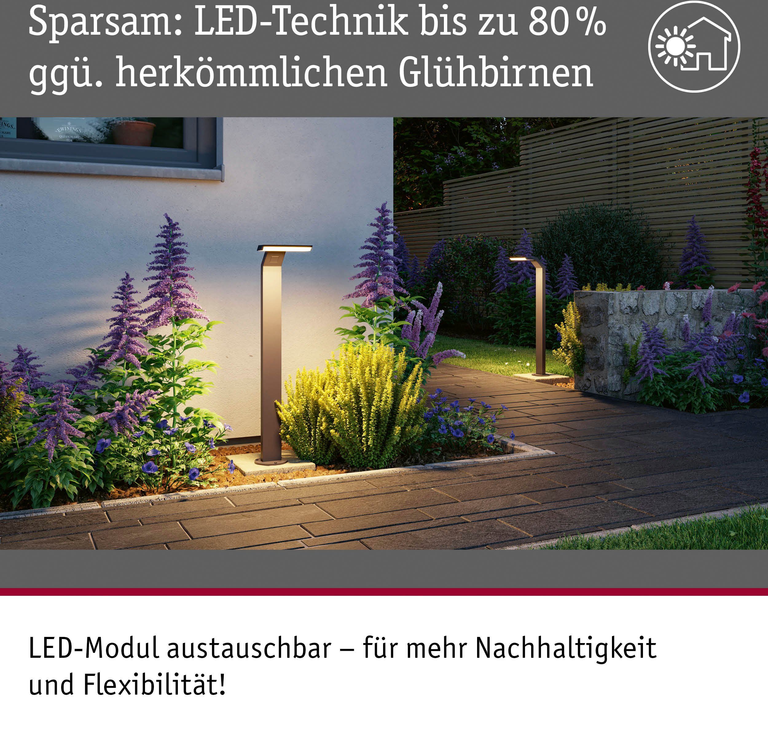 Paulmann LED anthrazit, 230V integriert, LED Gartenleuchte 3000K Zenera Pollerleuchte Warmweiß, fest seewasserresistent