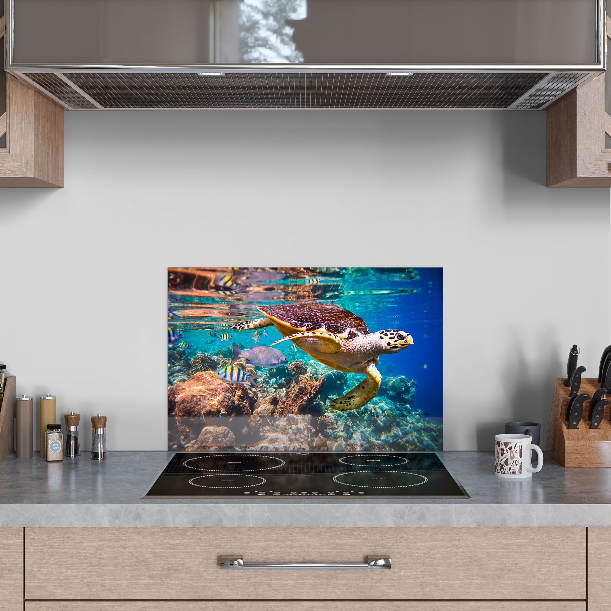 DEQORI Küchenrückwand 'Meeresschildkröte nah', Glas Herdblende Badrückwand Spritzschutz