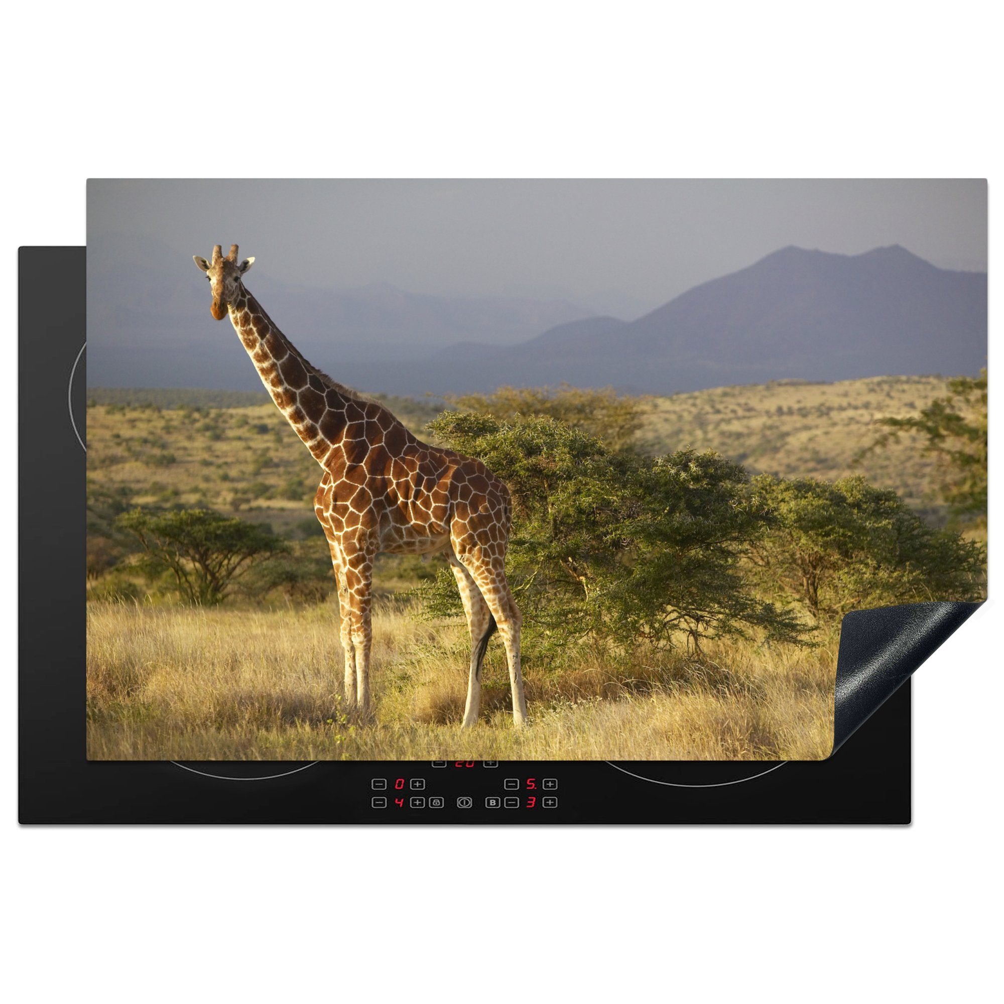MuchoWow Herdblende-/Abdeckplatte Giraffe - Landschaft - Afrika, Vinyl, (1 tlg), 81x52 cm, Induktionskochfeld Schutz für die küche, Ceranfeldabdeckung