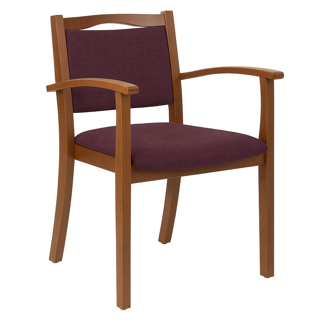 einrichtungsdesign24 Armlehnstuhl Seniorenstuhl Alexander Rustikal mit Armlehnen – Armlehnstuhl, Sitzhöhe 47cm