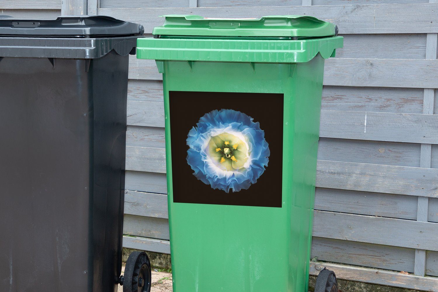 Hintergrund Blume Container, Nahaufnahme blauen (1 Mülleimer-aufkleber, Sticker, Mülltonne, Wandsticker St), auf Abfalbehälter MuchoWow schwarzem einer Eine
