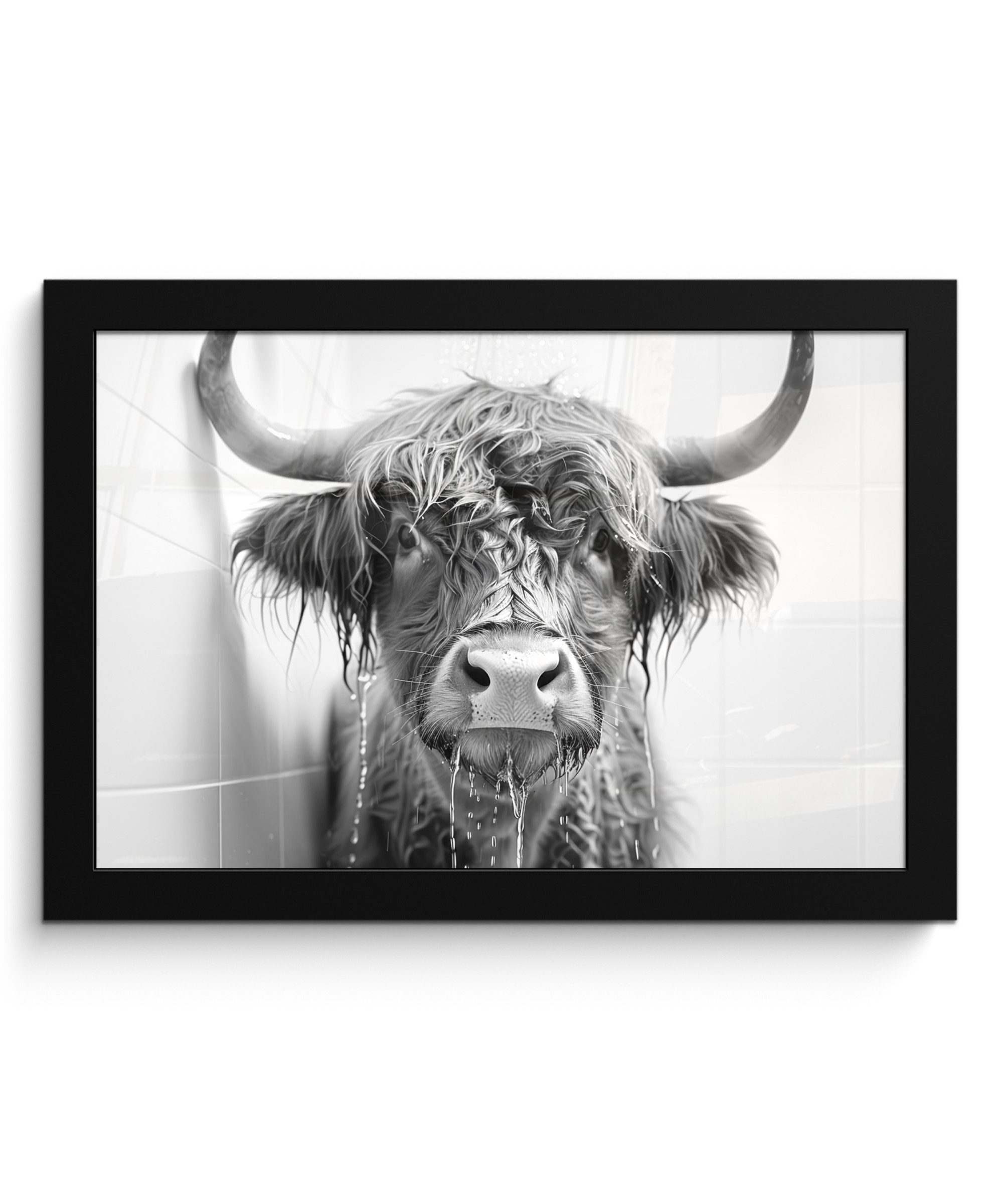 MuchoWow Poster Schottischer Highlander - Tier günstig online kaufen