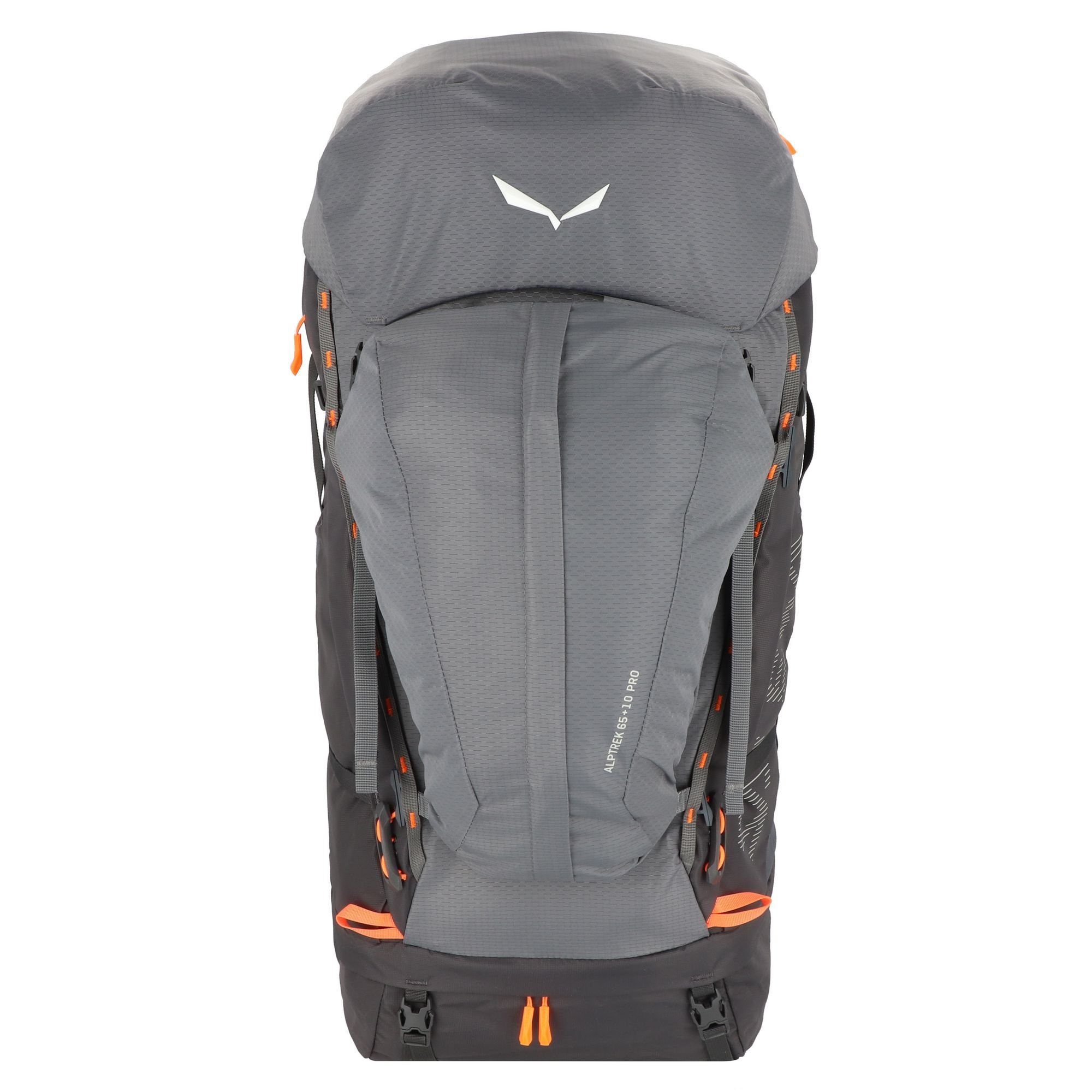 Salewa Sportrucksack Alptrek, Nylon