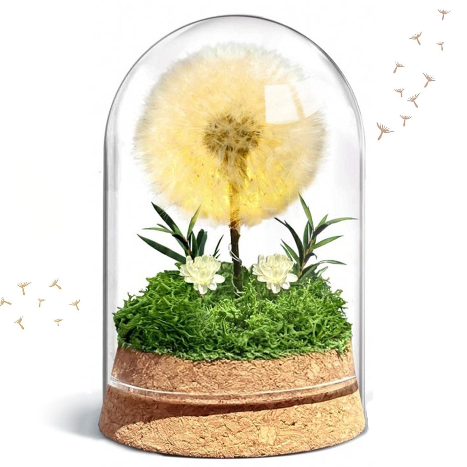 Kunstblume Wunscherfüller LED-Pusteblume im Glas – günstig online kaufen