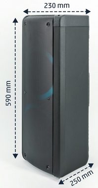 Reflexion PS09BT mit rotierenden Lichteffekten Stereo Party-Lautsprecher (Bluetooth, 500 W, Bluetooth, Radio, USB, AUX IN, Micro SD Kartenslot)