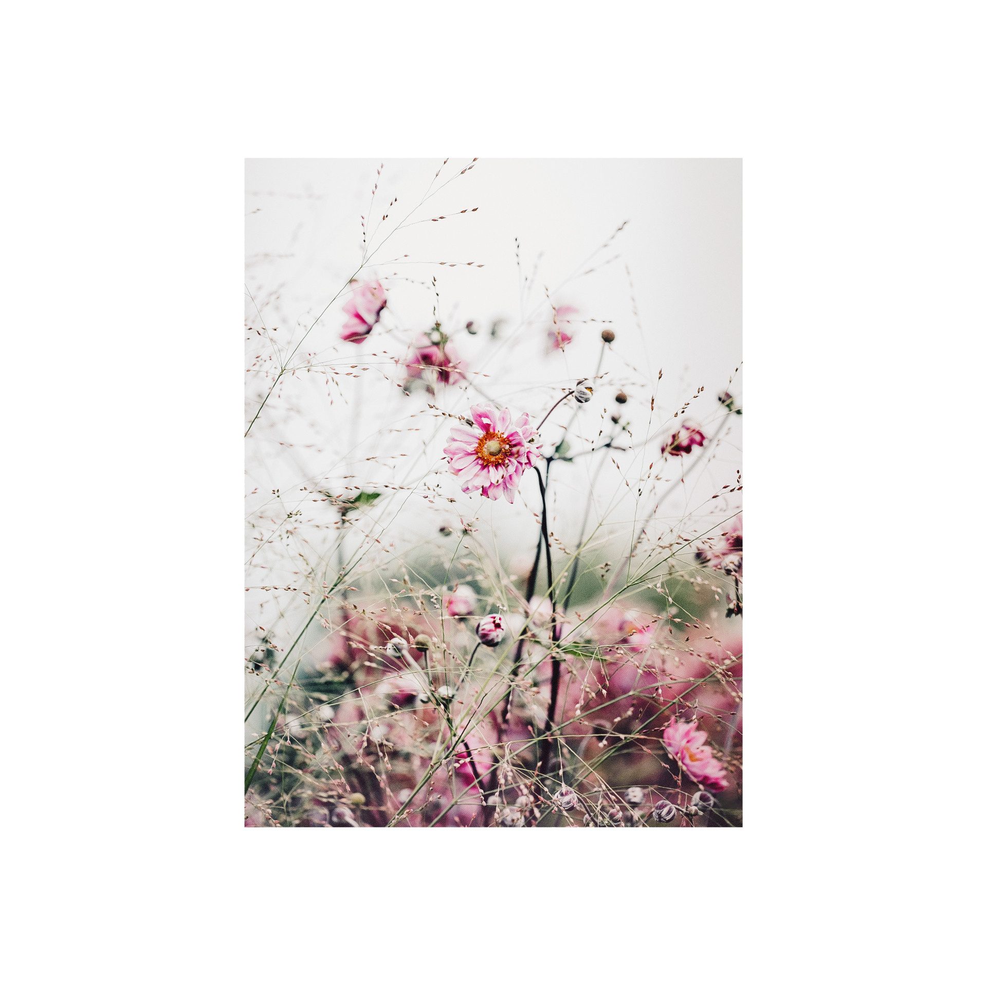 Roomy Fensterfolie Fensterfolie günstig online kaufen