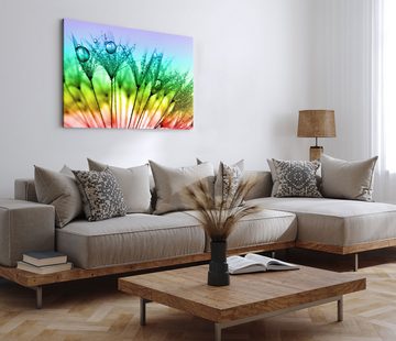 Sinus Art Leinwandbild 120x80cm Wandbild auf Leinwand Makrofotografie Regentropfen Pusteblume, (1 St)