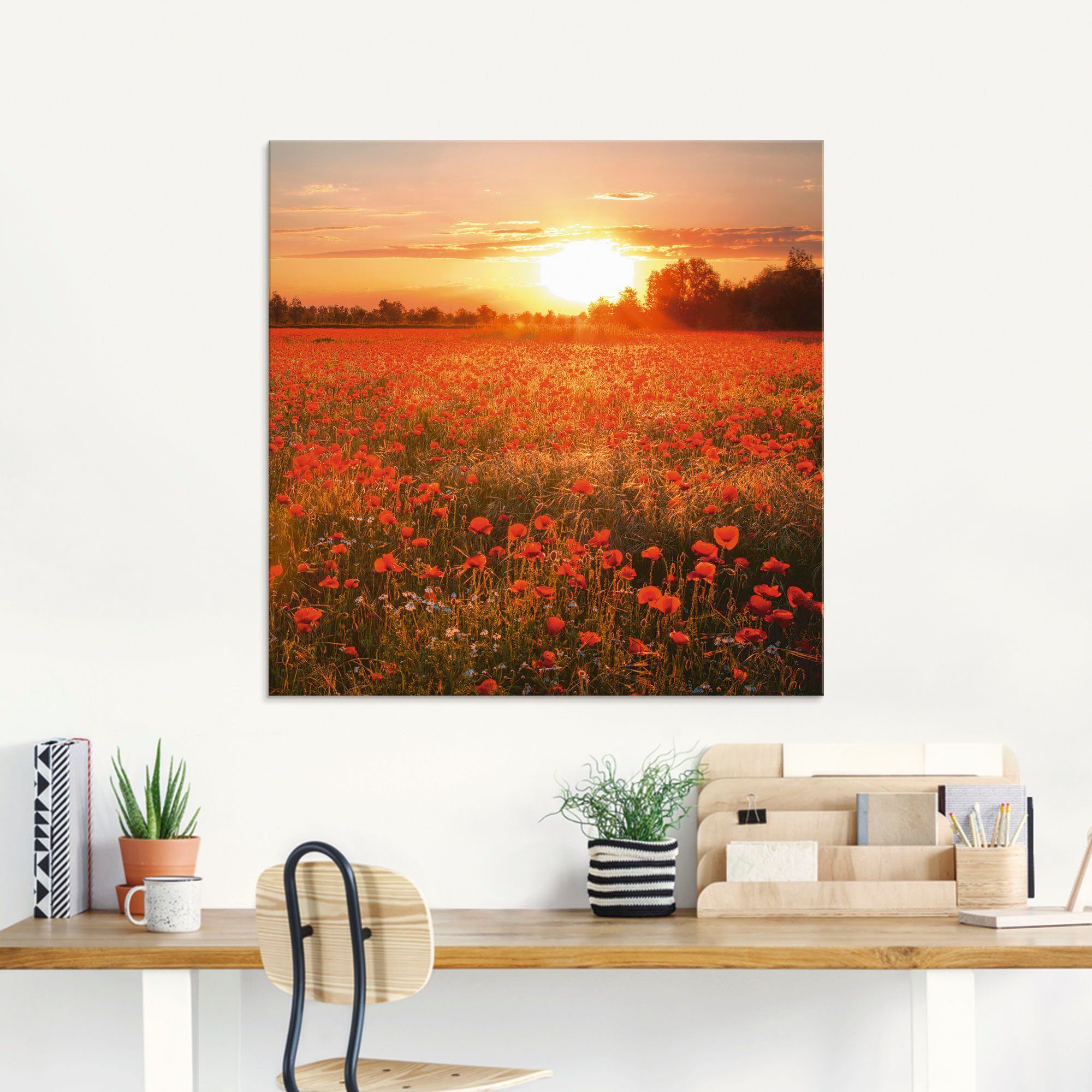 Artland Glasbild Mohnblumenfeld bei Sonnenuntergang, Blumen günstig online kaufen