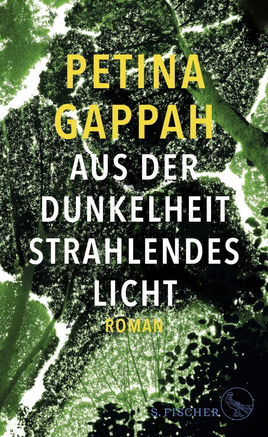 Aus der Dunkelheit strahlendes Licht Roman / Petina Gappah, X