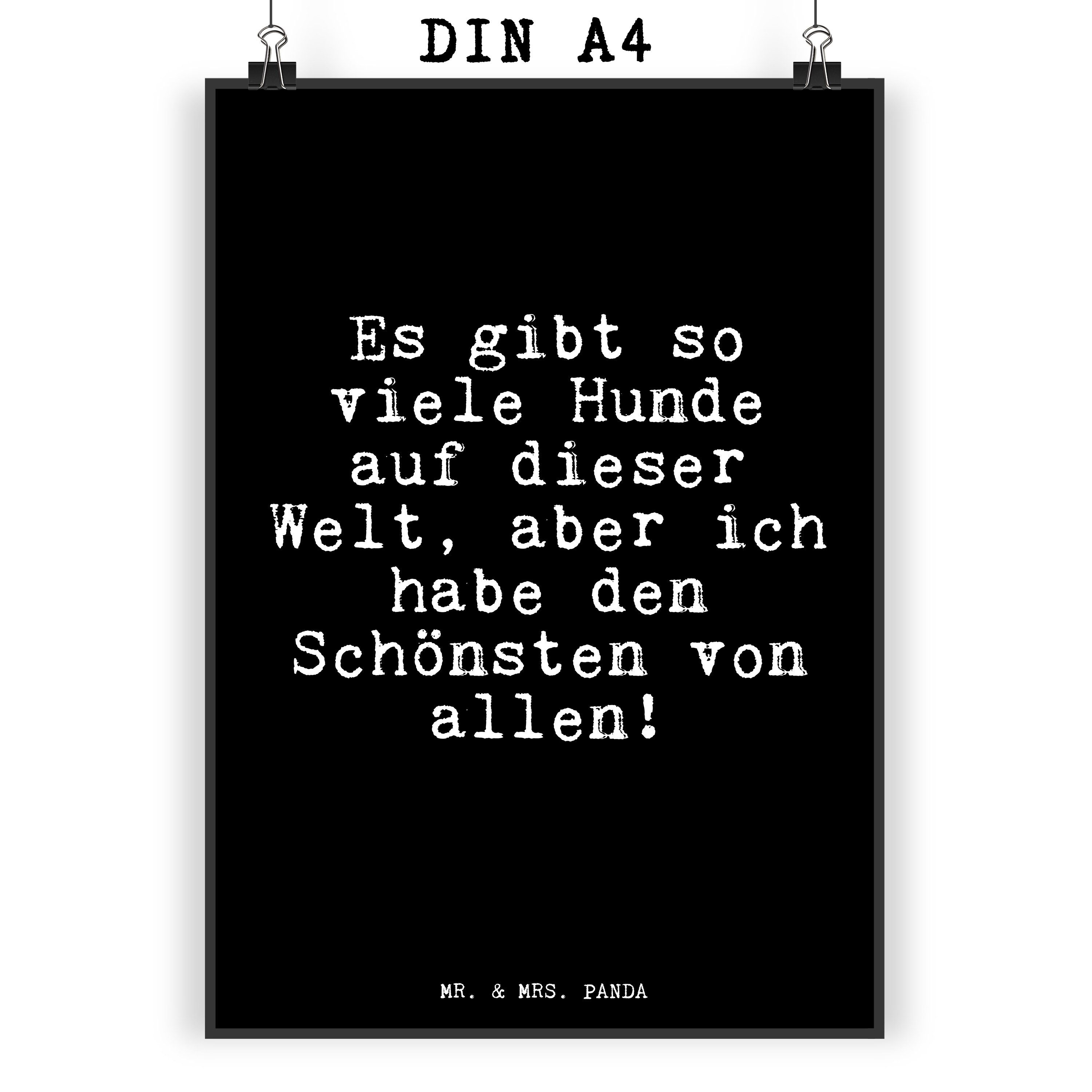 Mr. & Mrs. Panda Poster »Es gibt so viele... Schwarz Geschenk, Hund