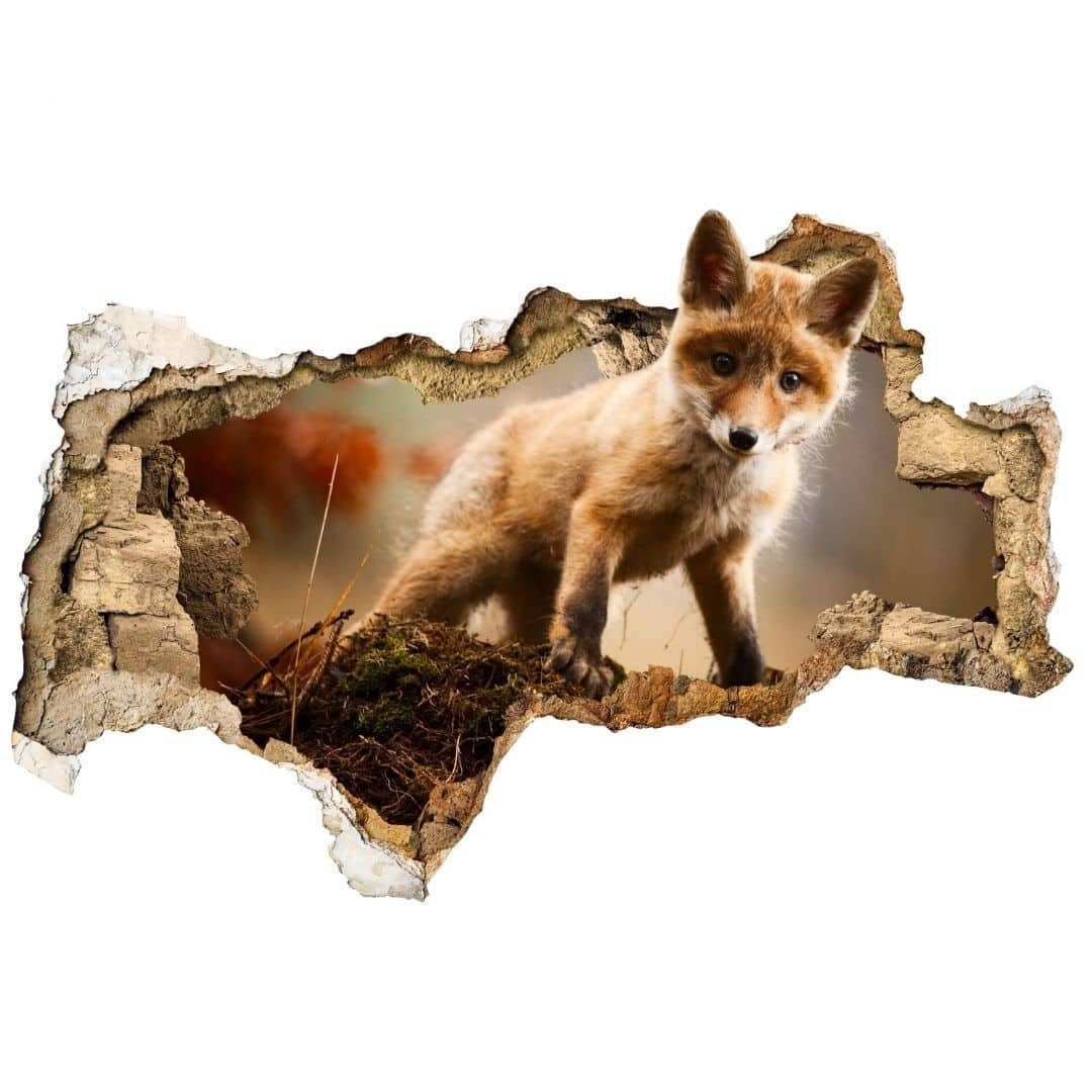 K&L Wall Art Wandtattoo 3D Aufkleber Adamec Junger Baby Fuchs Kinderzimmer Waldtiere, Mauerdurchbruch Wandbild selbstklebend