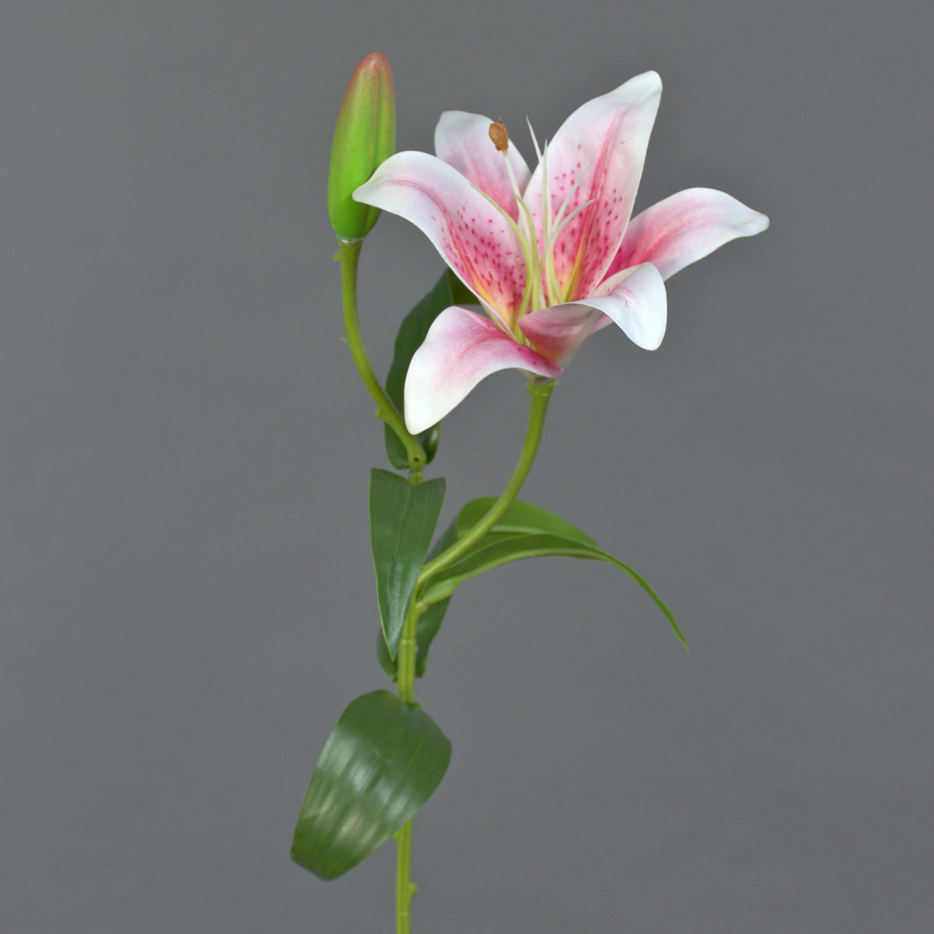 Kunstblume Künstliche Tigerlilie MIXLON, Hellrosa-weiß, 55cm Lilie (Tigerlilie), artplants, Höhe 55.0 cm