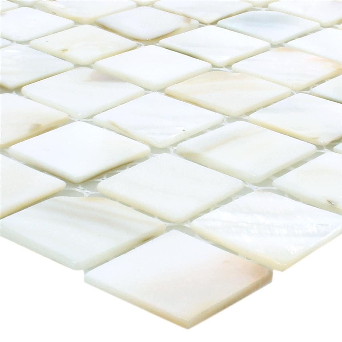 Mosafil Mosaikfliesen Mosaikfliesen Muschel Kordon, Muschel-Perlmutt 30.500x30.500, weiß, Verlegefertig auf ein Netz geklebt - Wasserfest
