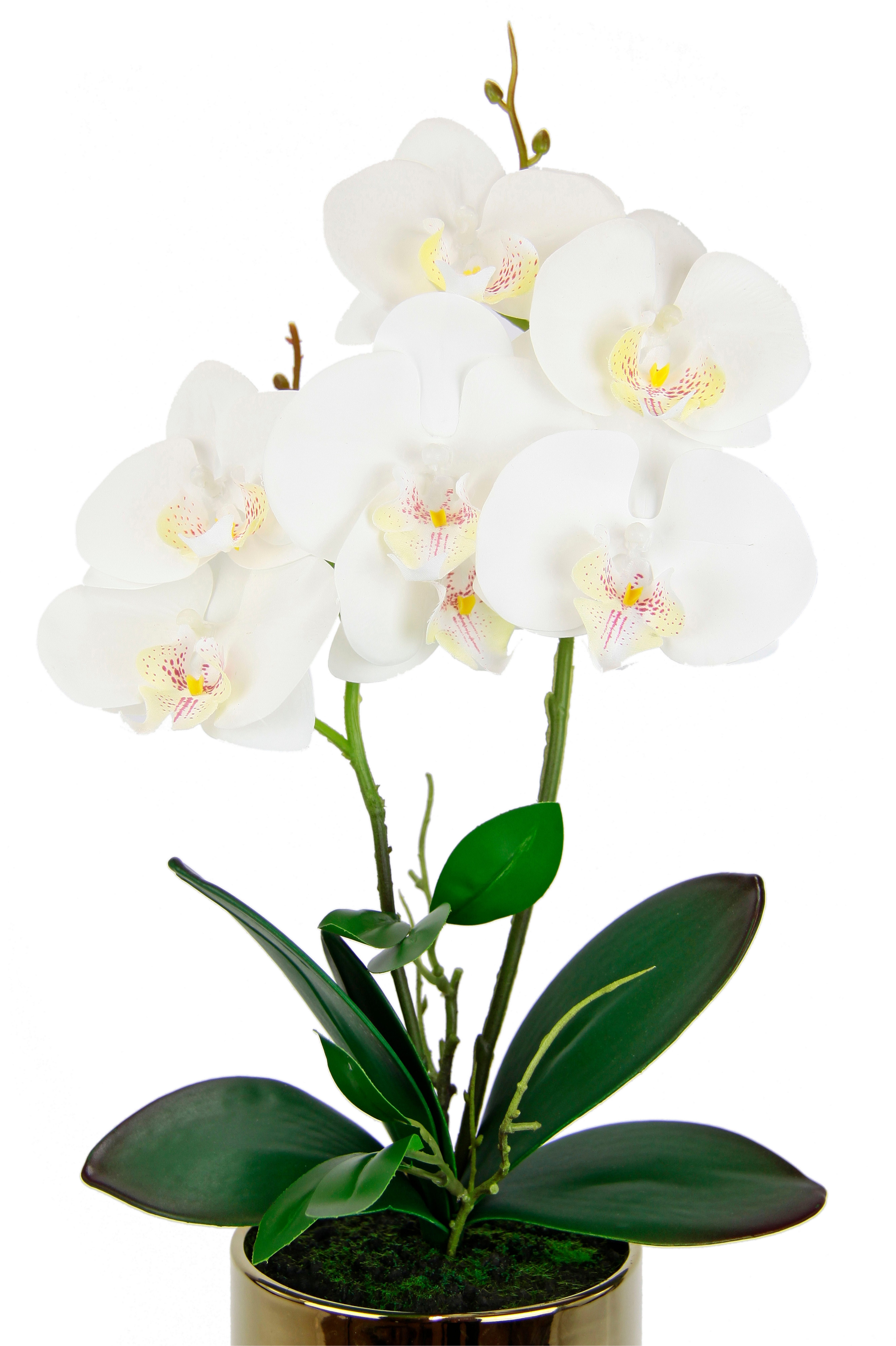 Kunstblume Orchidee, I.GE.A., Höhe 42 cm günstig online kaufen