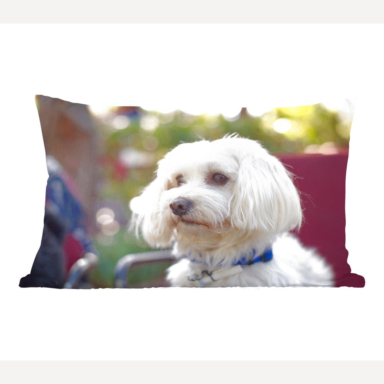 MuchoWow Dekokissen Niedlicher Malteser Hund, Wohzimmer Dekoration, Zierkissen, Dekokissen mit Füllung, Schlafzimmer