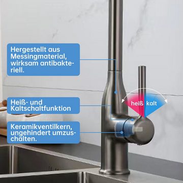 DAKYAM Spültischarmatur Wasserhahn Küche Bad Küchenarmatur Waschtischarmatur ausziehbar mit Ausziehbrause