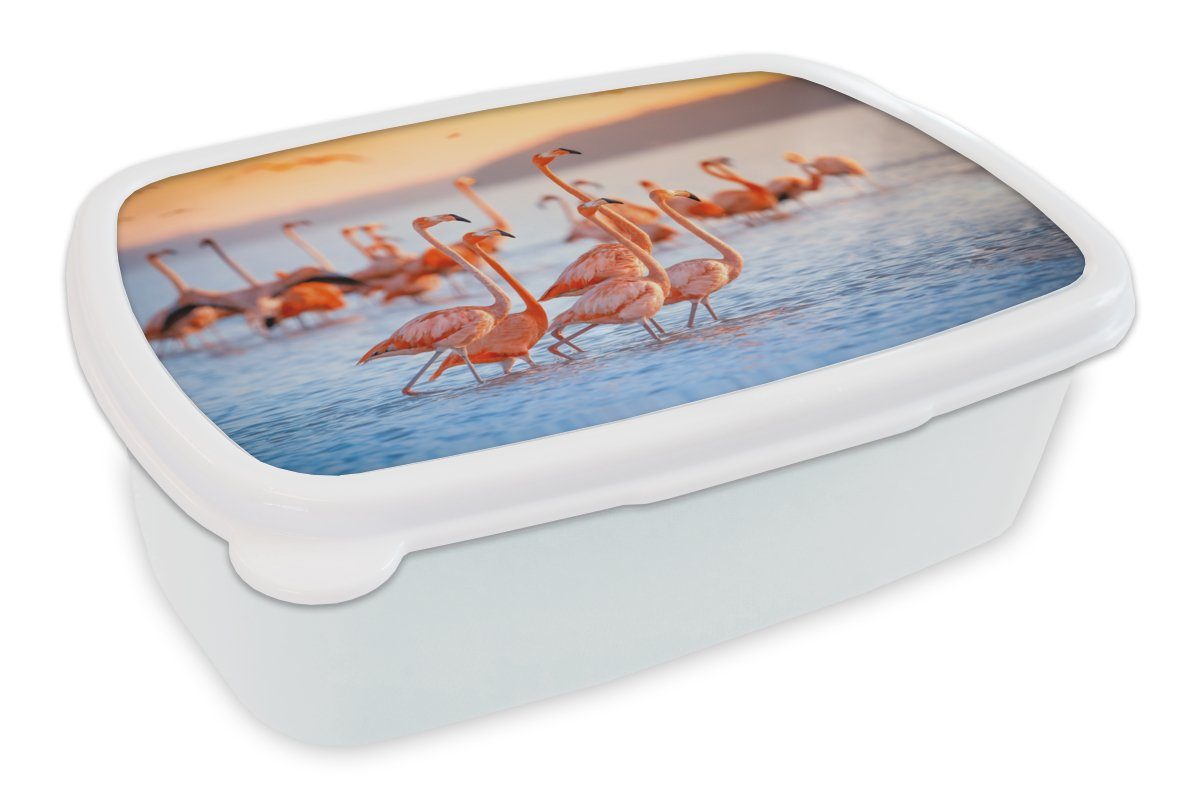 Rosa, - - für Mädchen Brotbox MuchoWow Flamingo Jungs und Erwachsene, Kunststoff, Wasser (2-tlg), Kinder für und Lunchbox - weiß Tiere Brotdose,