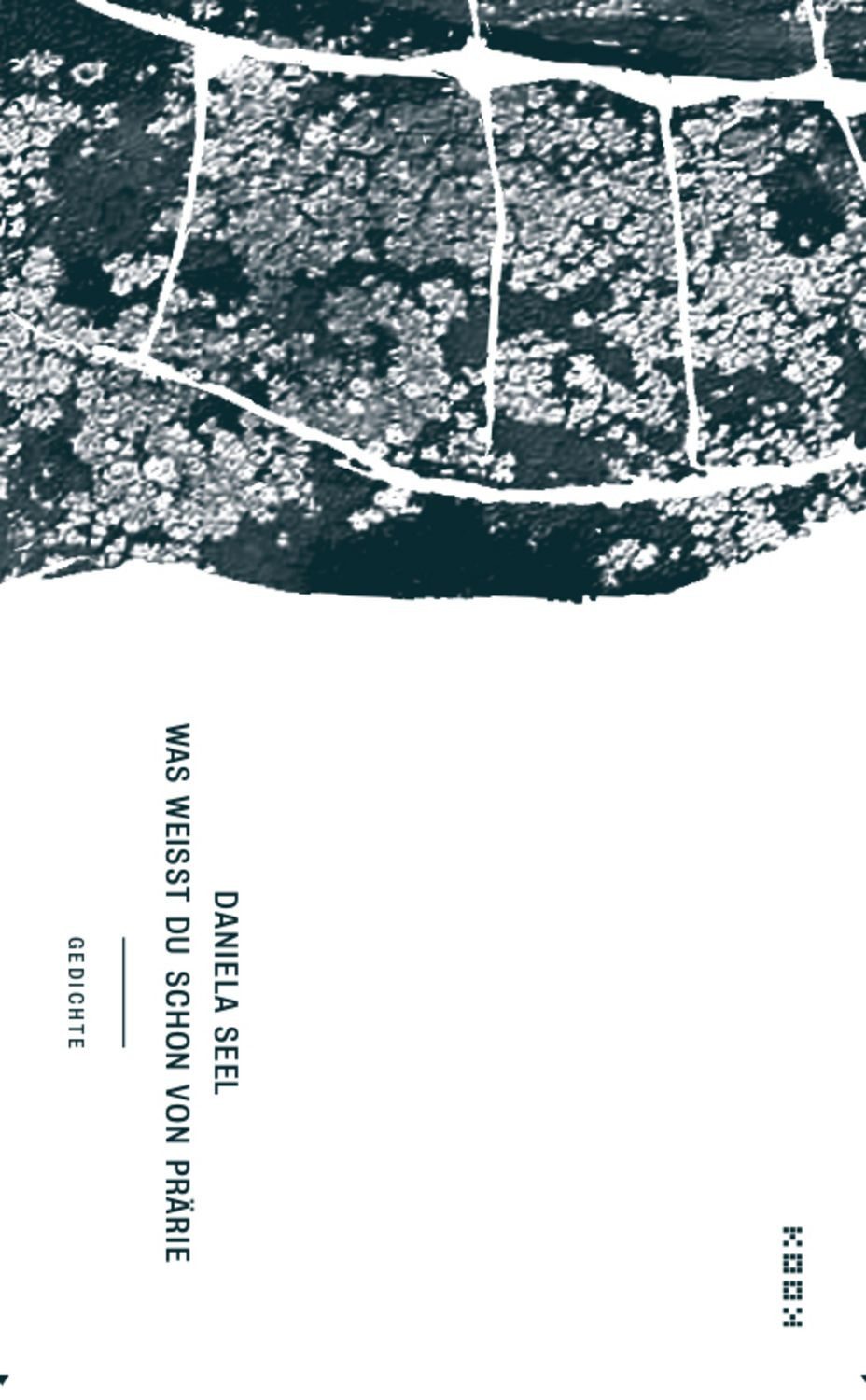 Was weißt du schon von prärie / Daniela Seel
