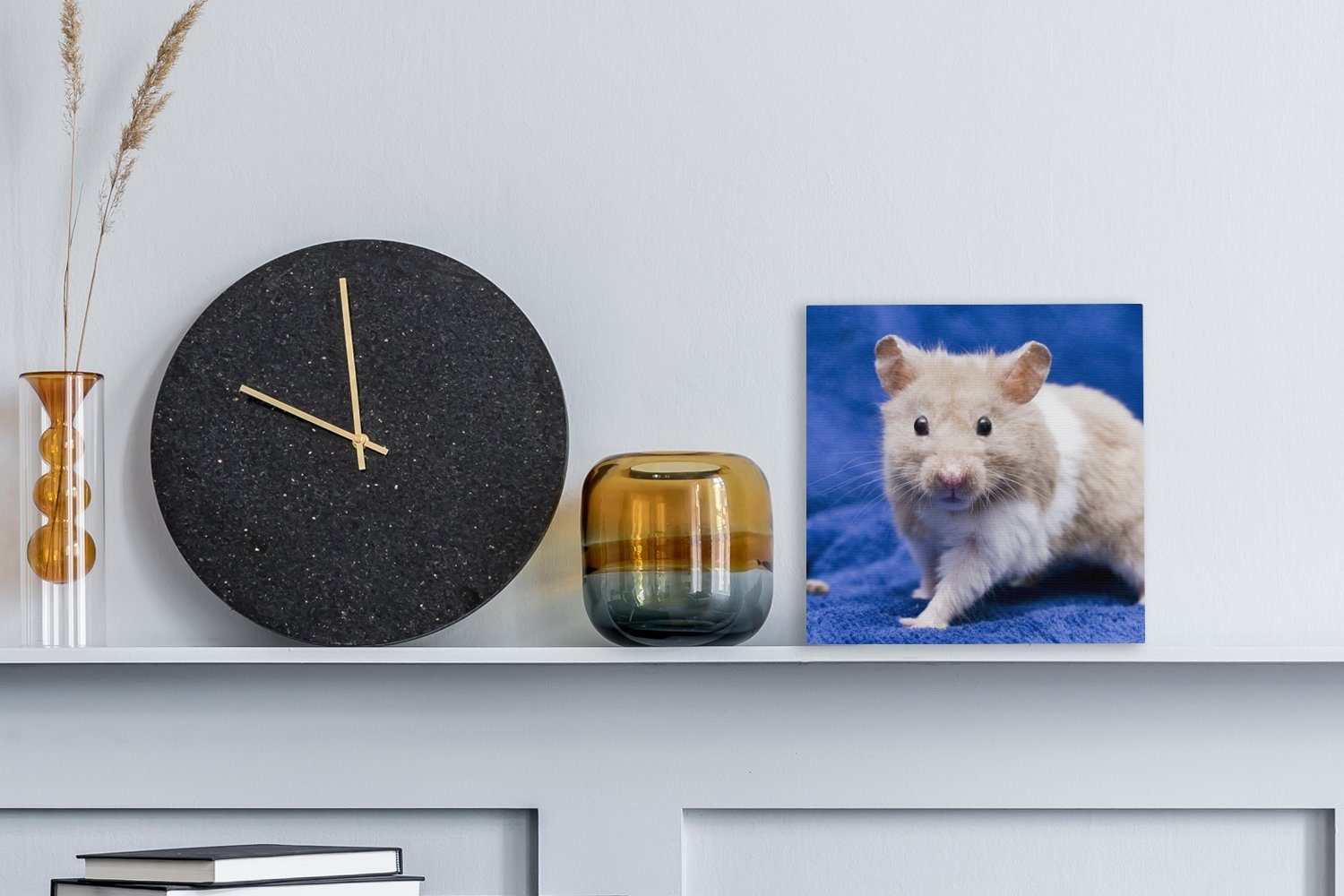 Schlafzimmer (1 für Wohnzimmer St), Leinwand Bilder Leinwandbild Syrischer Hamster, OneMillionCanvasses®