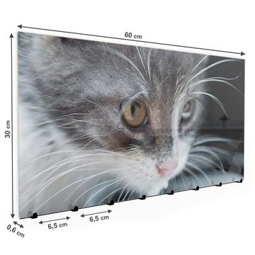 Primedeco Garderobenpaneel Magnetwand und Memoboard aus Glas Hungrige Katze